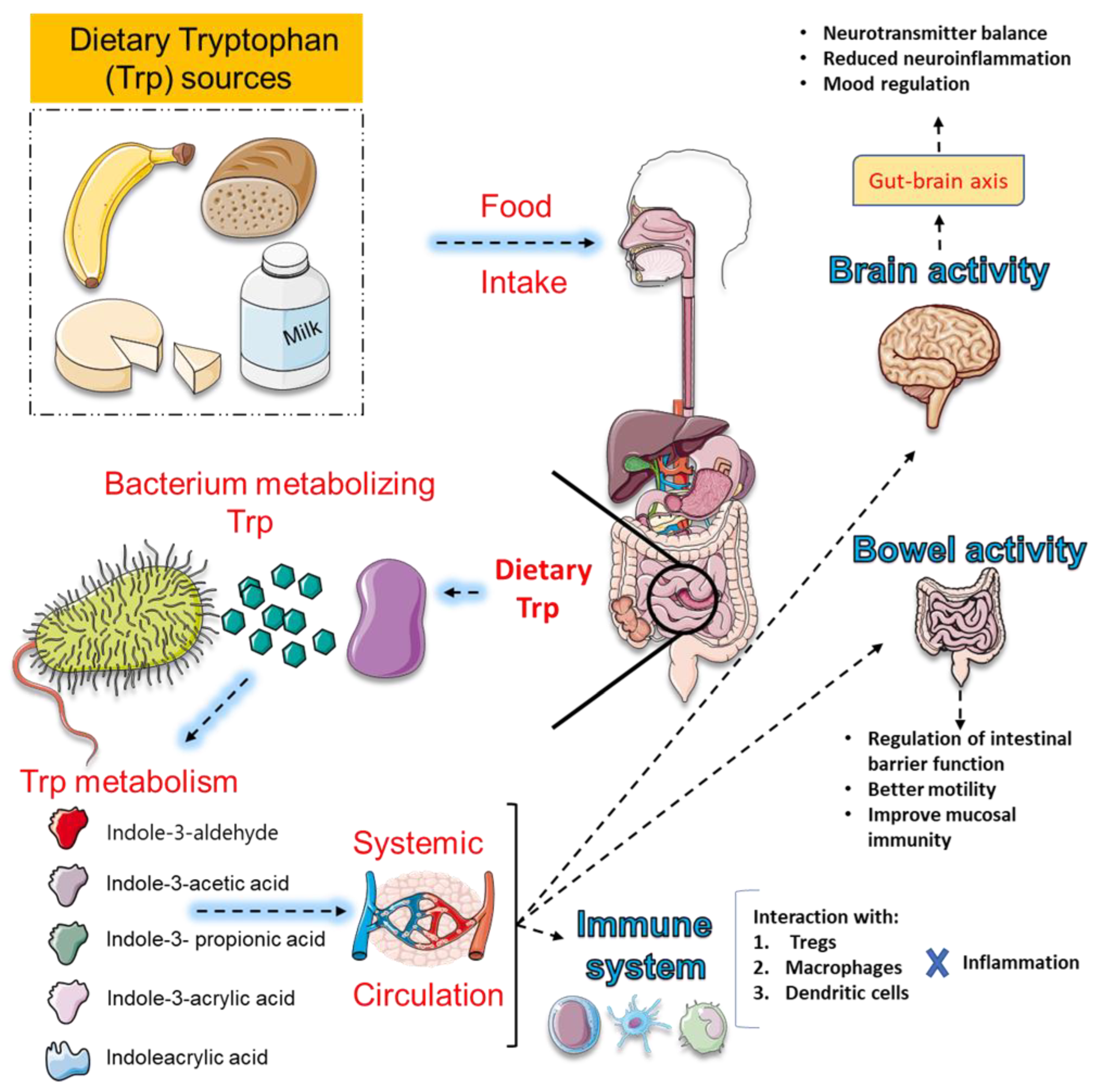 Preprints 188010 g004