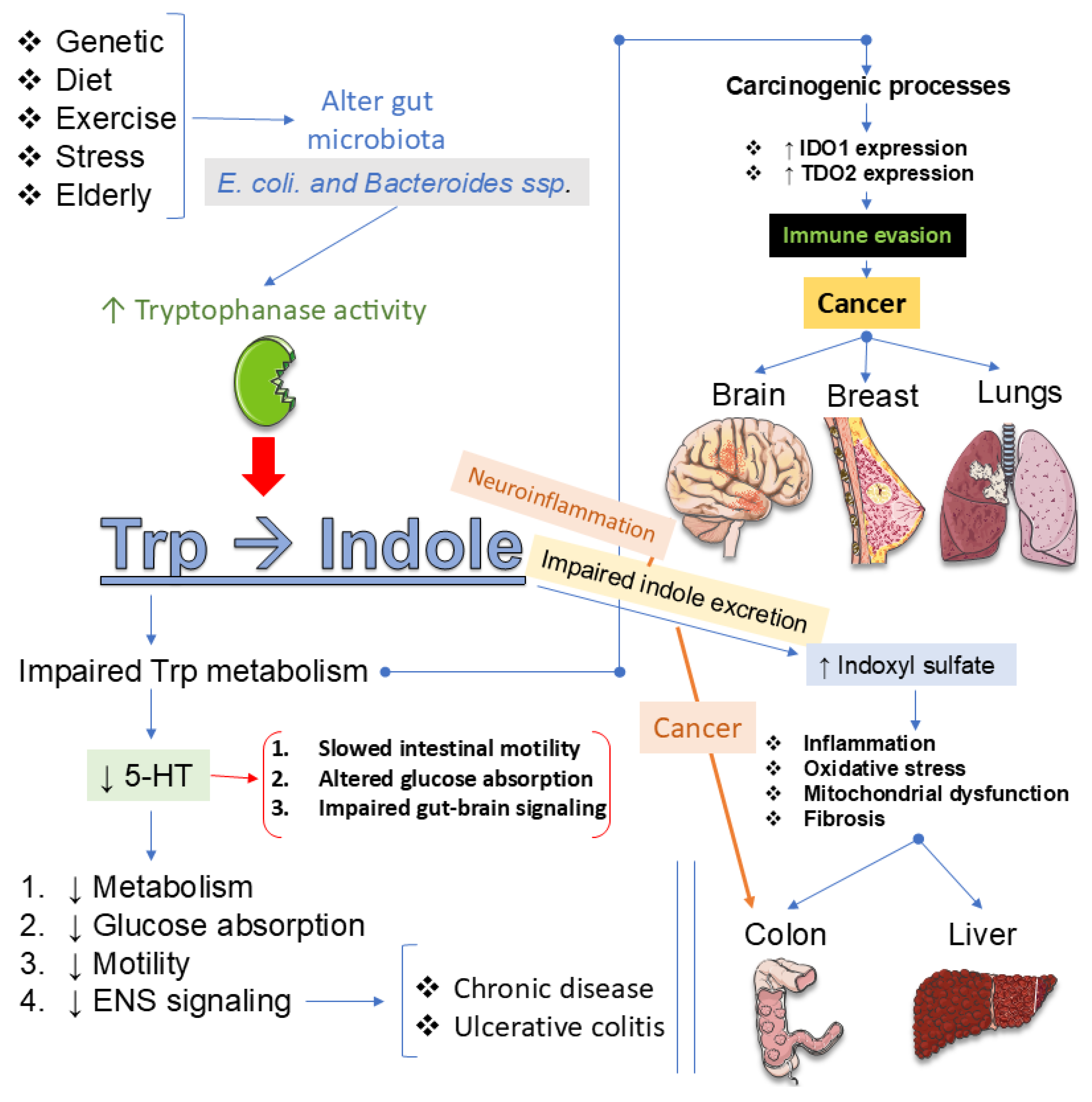 Preprints 188010 g005