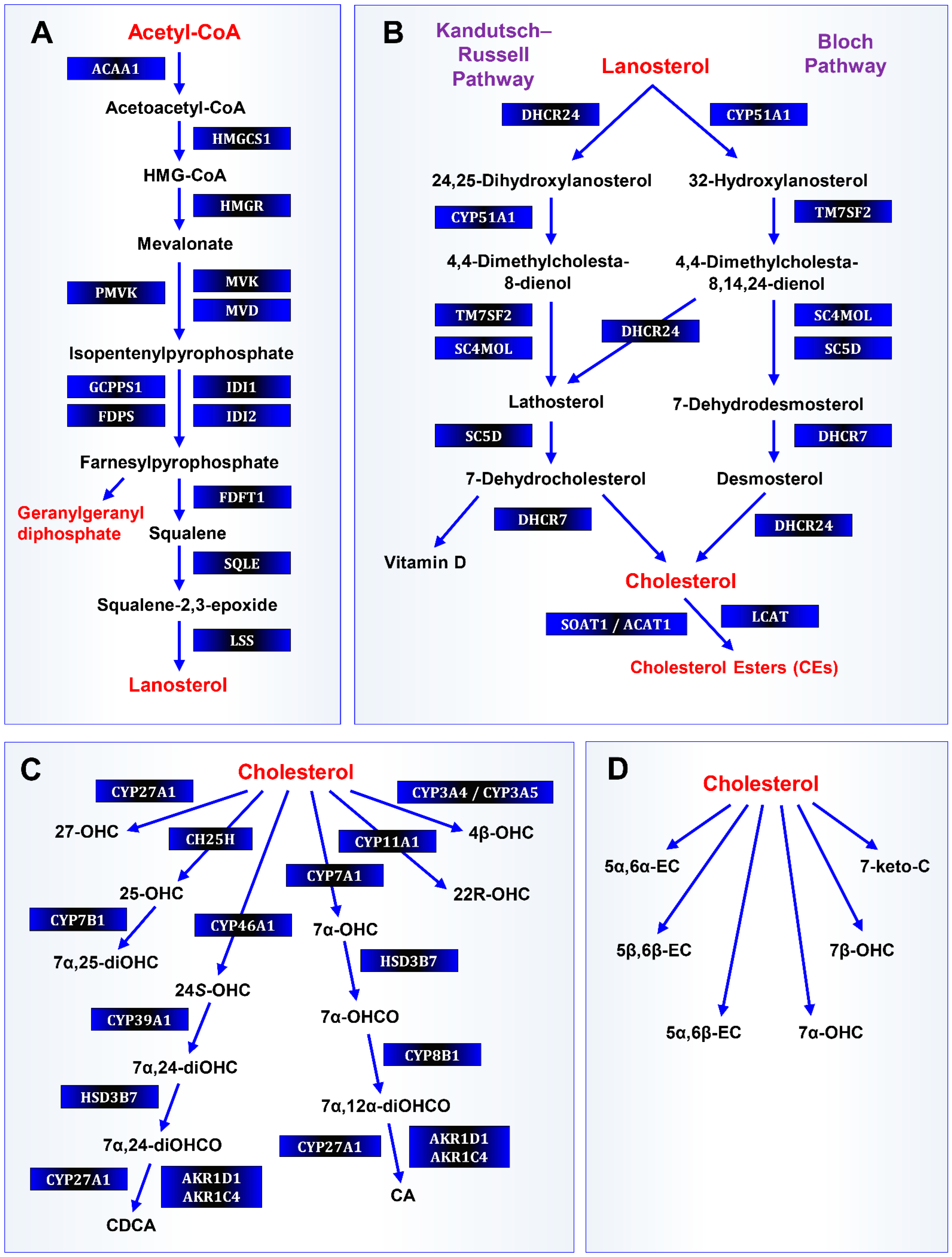 Preprints 222046 g002
