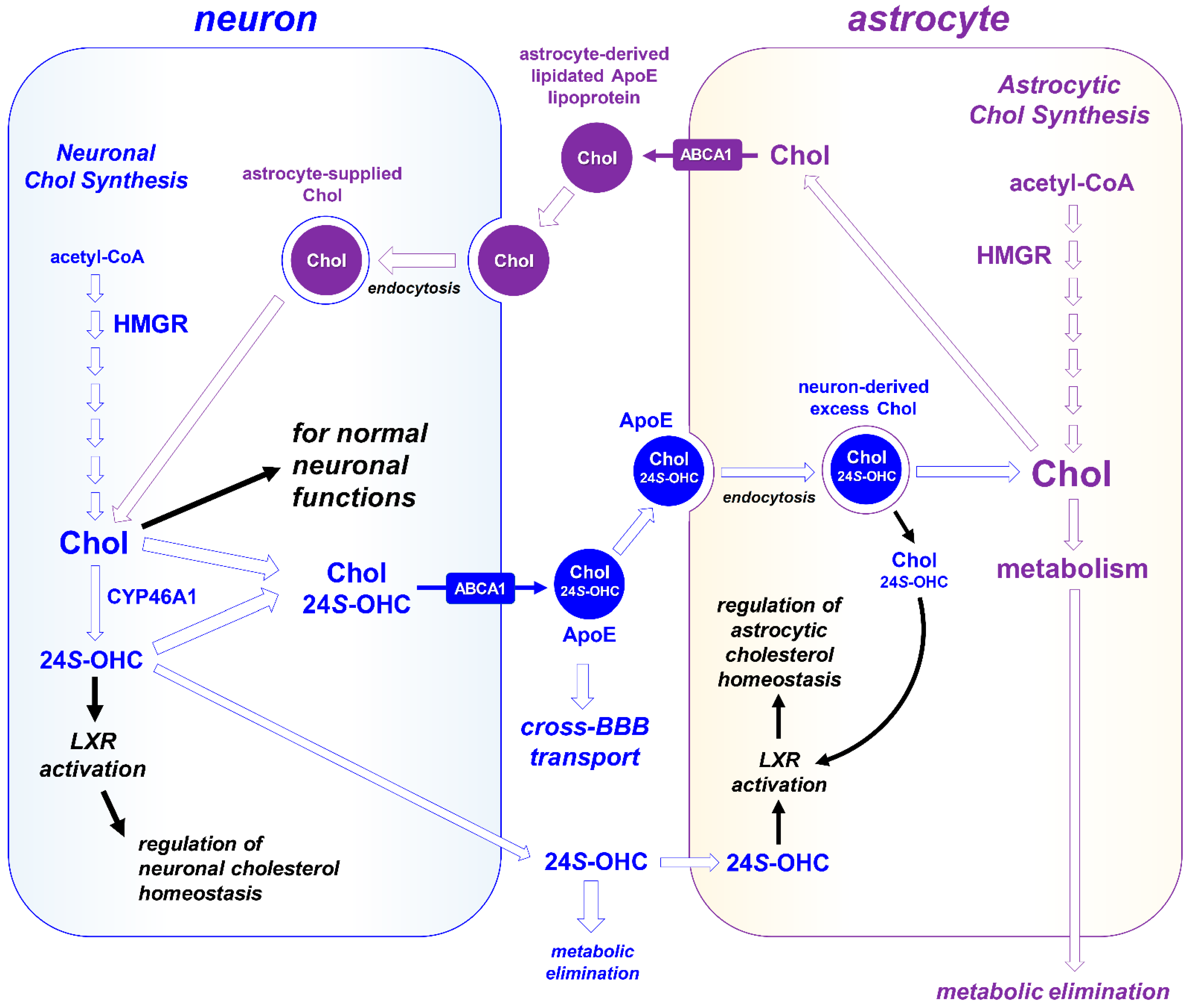 Preprints 222046 g003