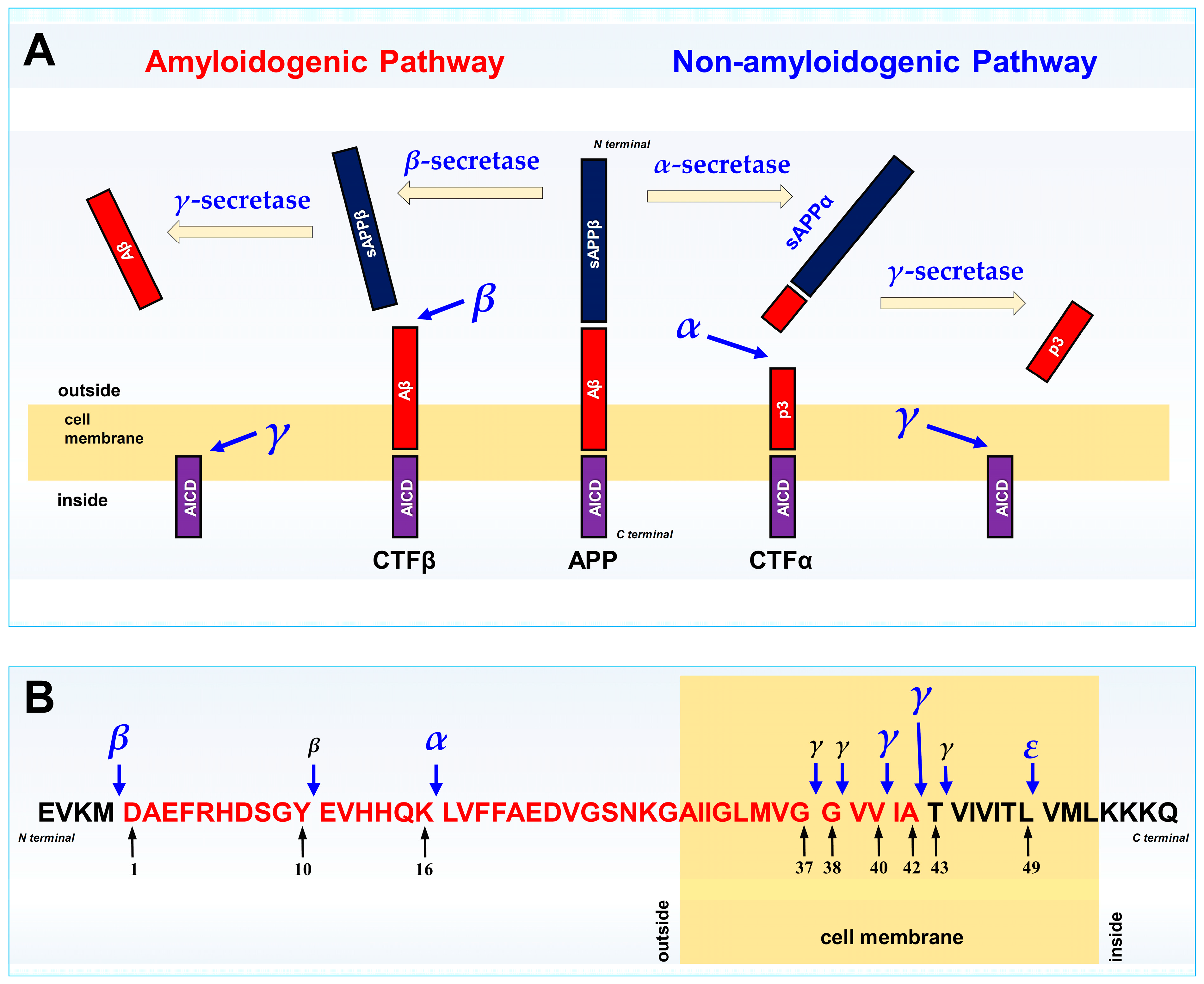 Preprints 222046 g005