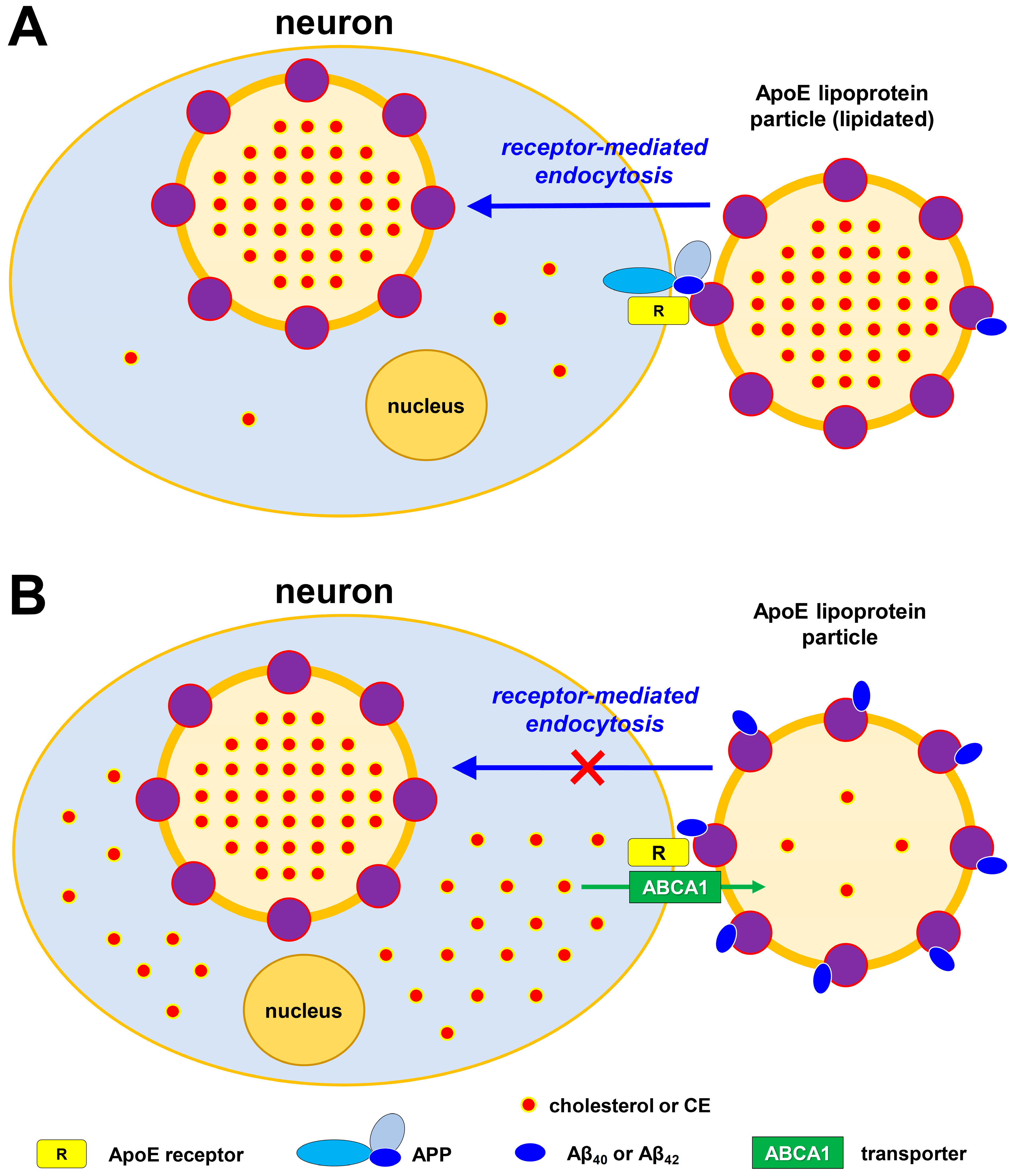 Preprints 222046 g006