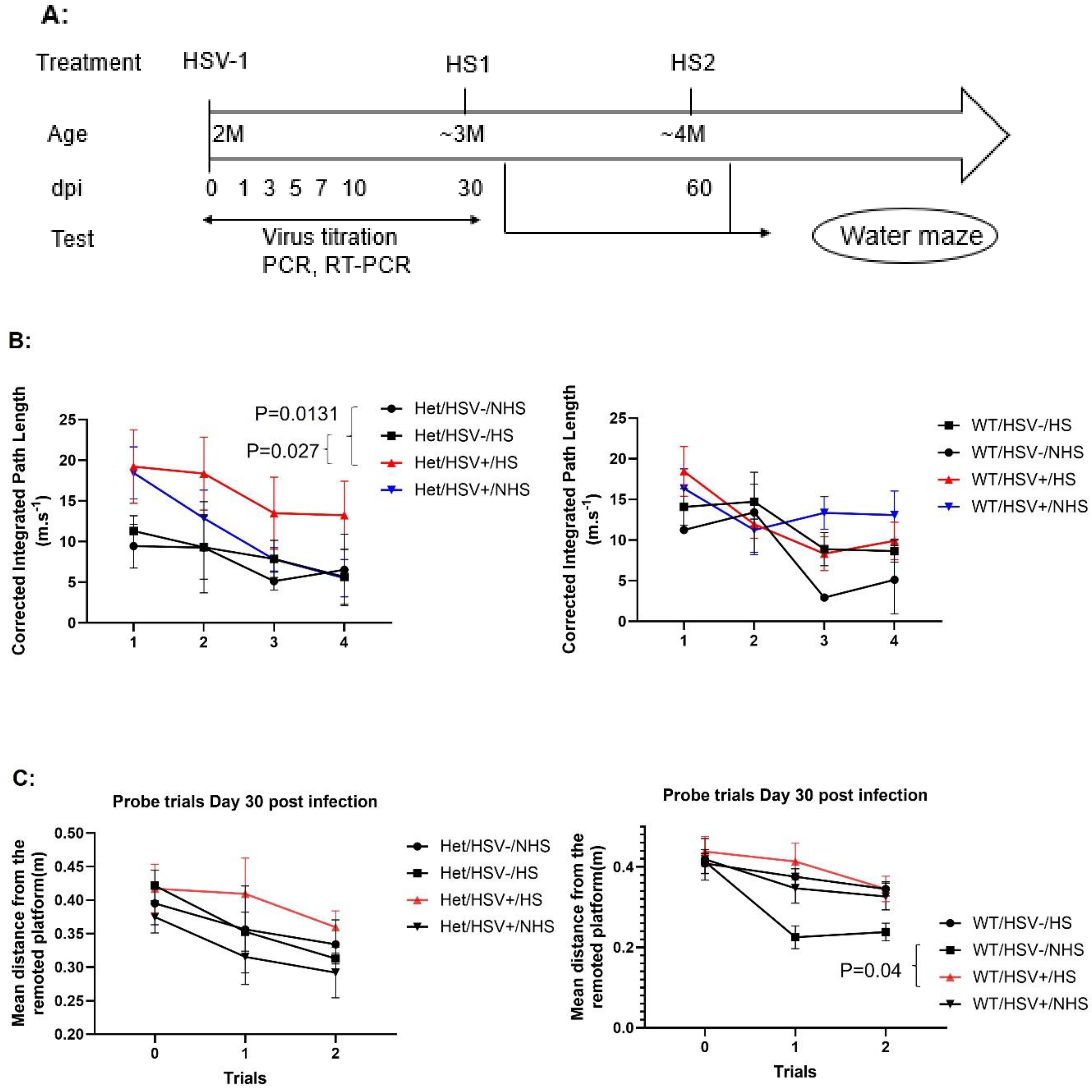 Preprints 224221 g003