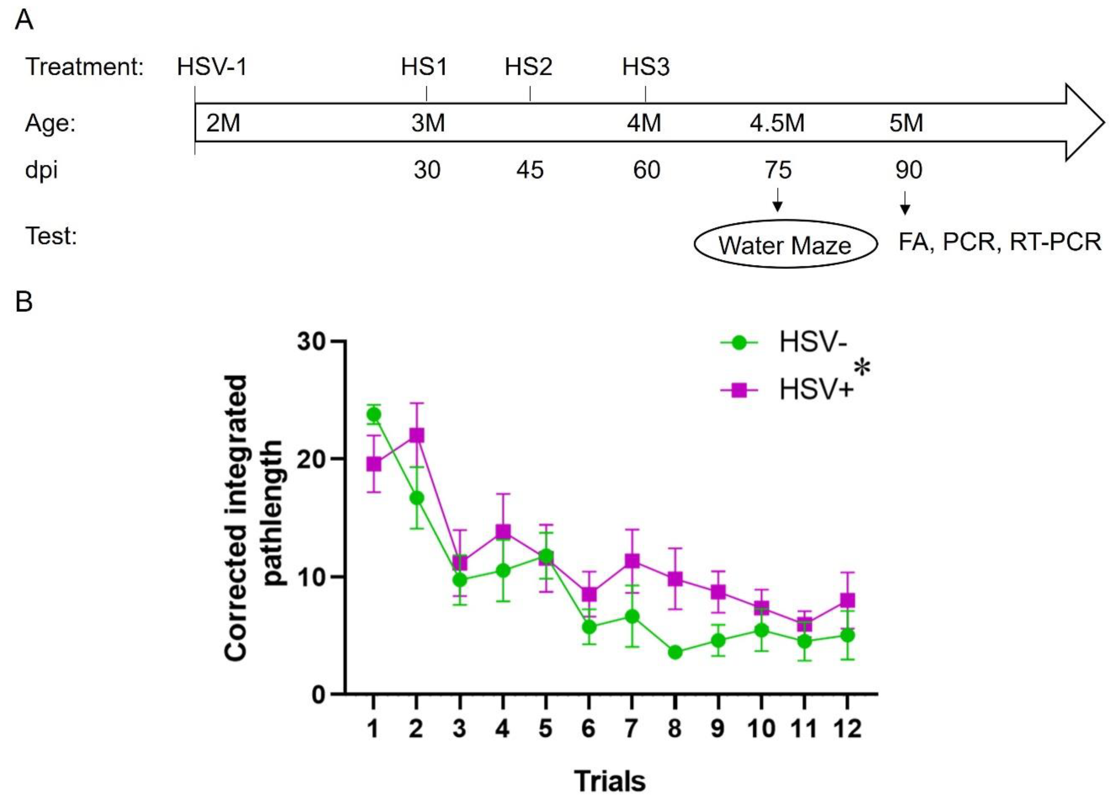 Preprints 224221 g005