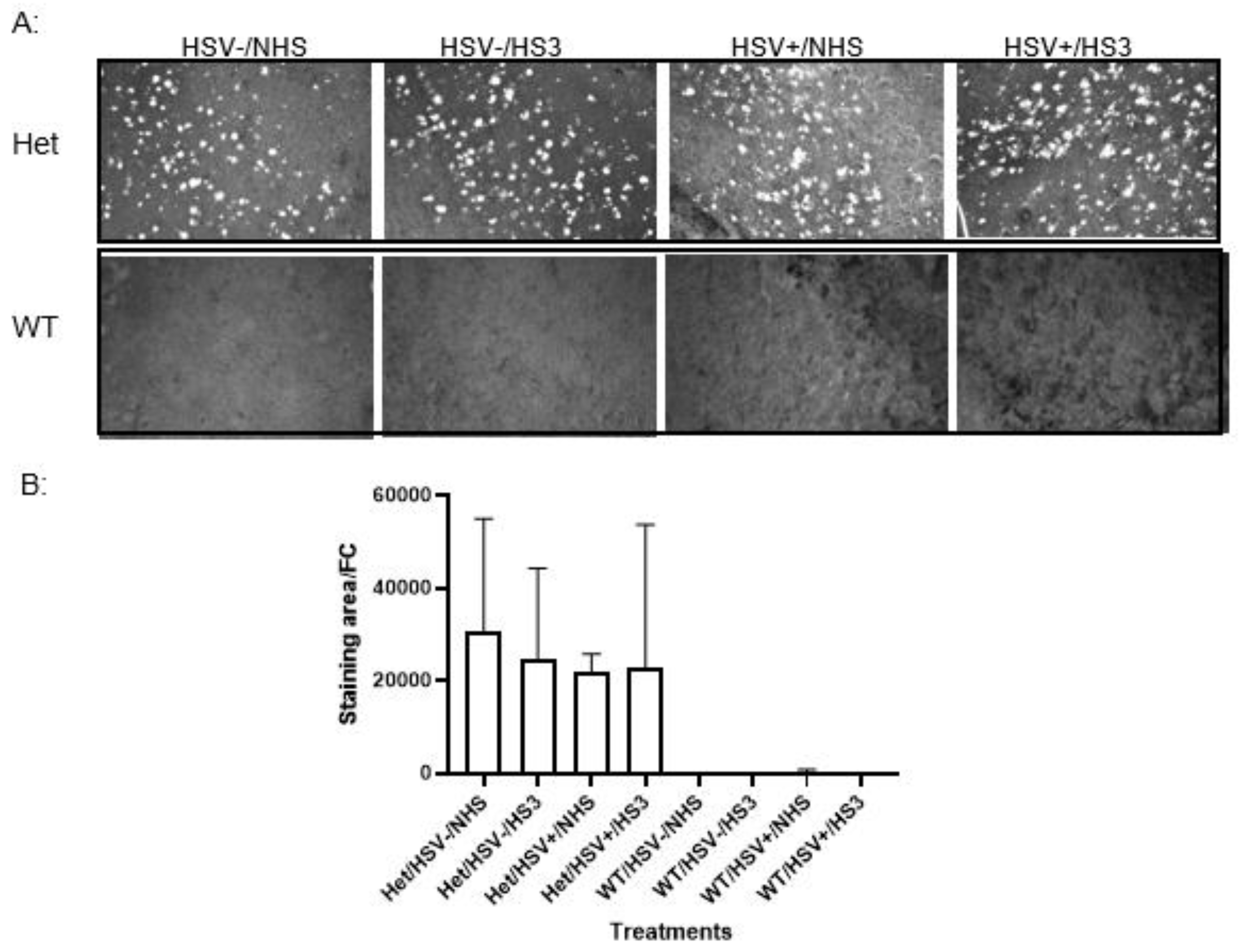 Preprints 224221 g007