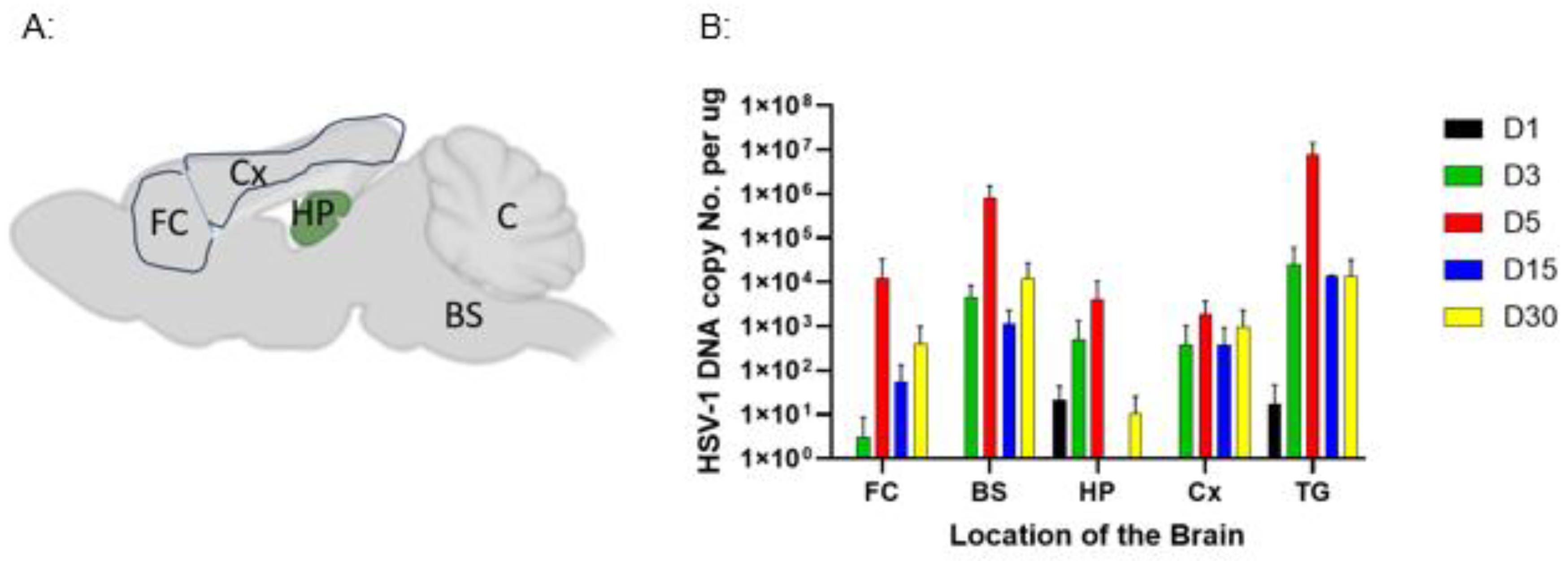 Preprints 224221 g010