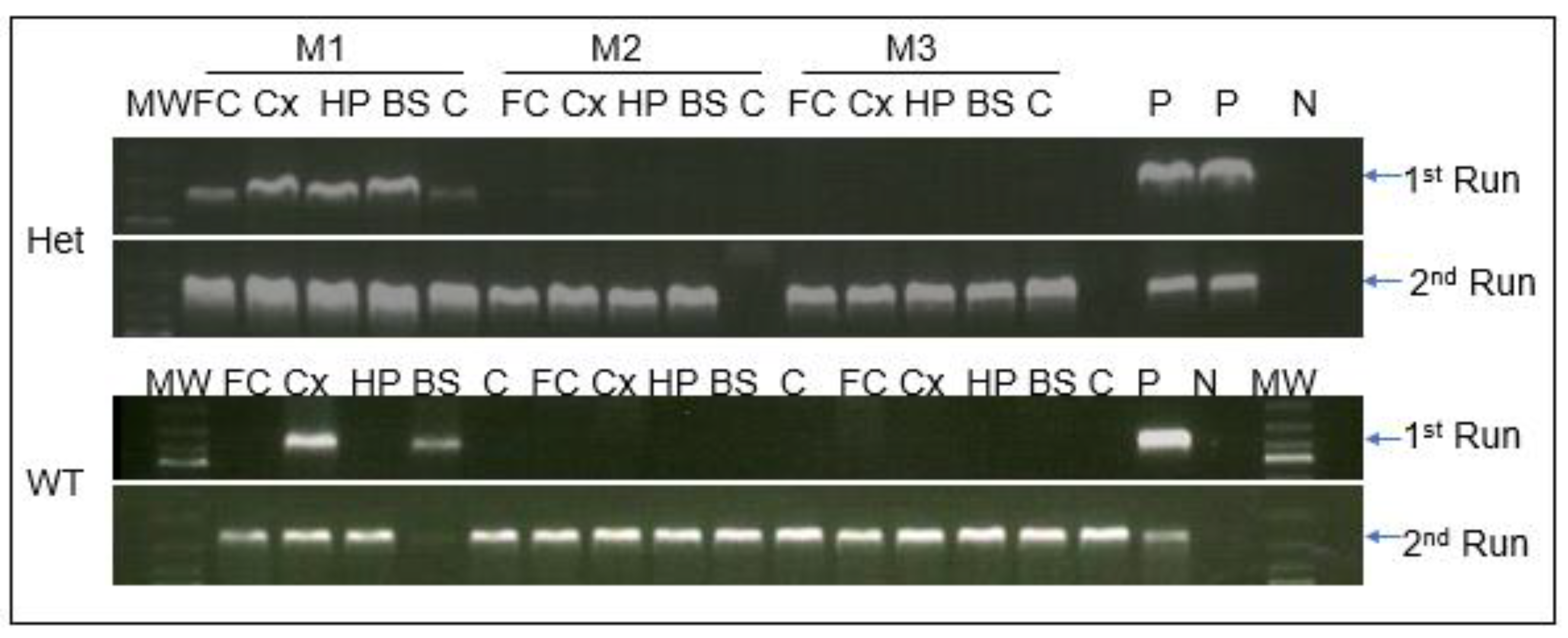 Preprints 224221 g011