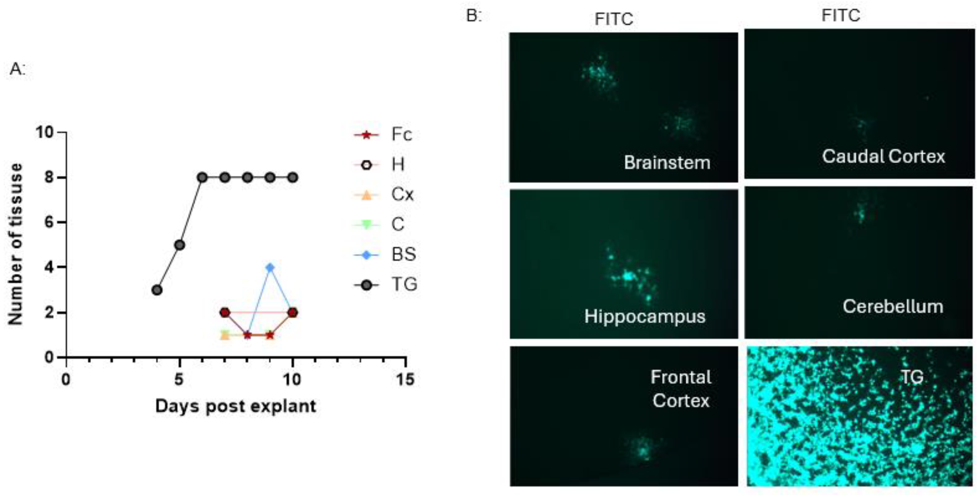 Preprints 224221 g012