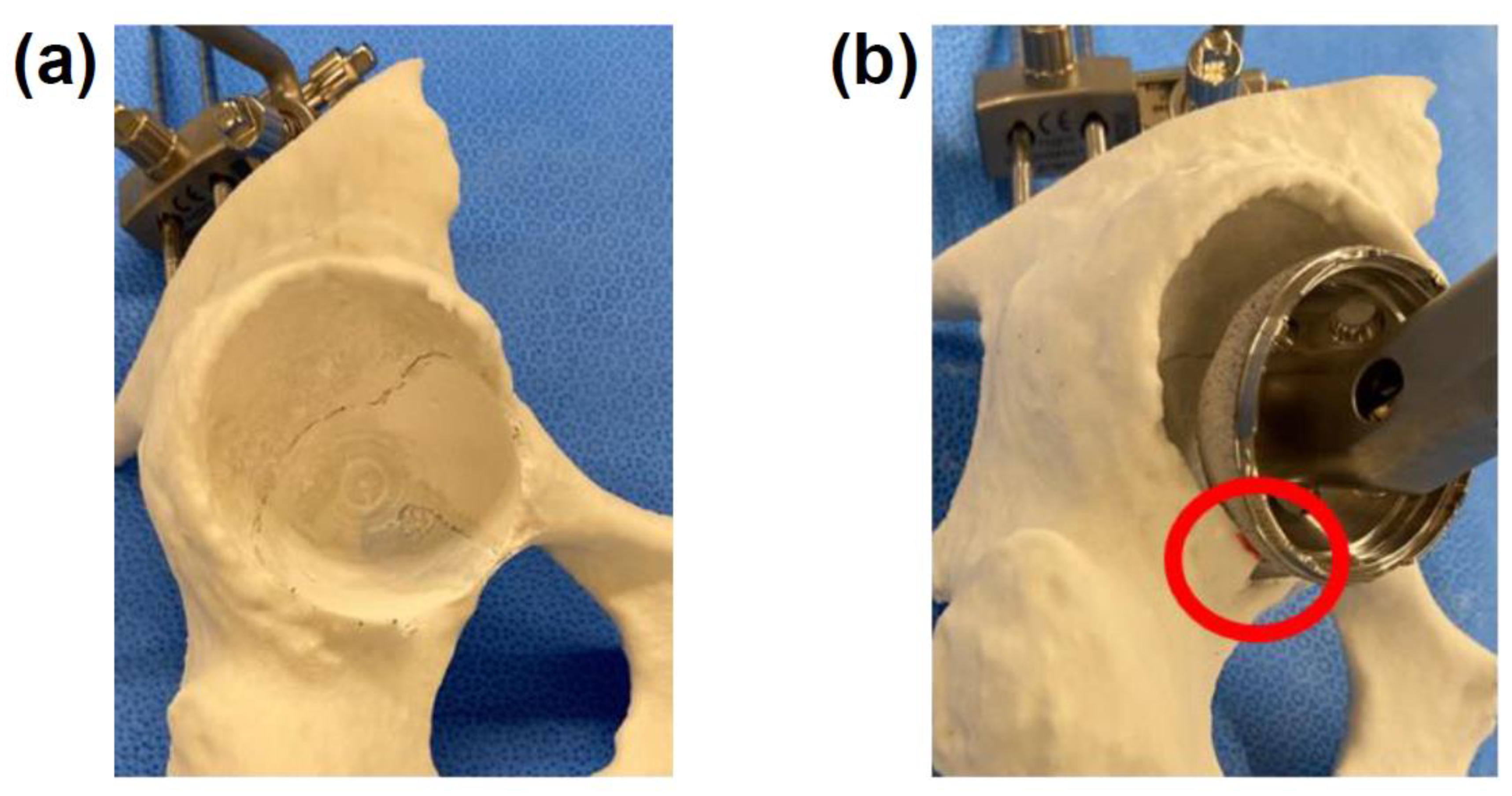 Preprints 169378 g002