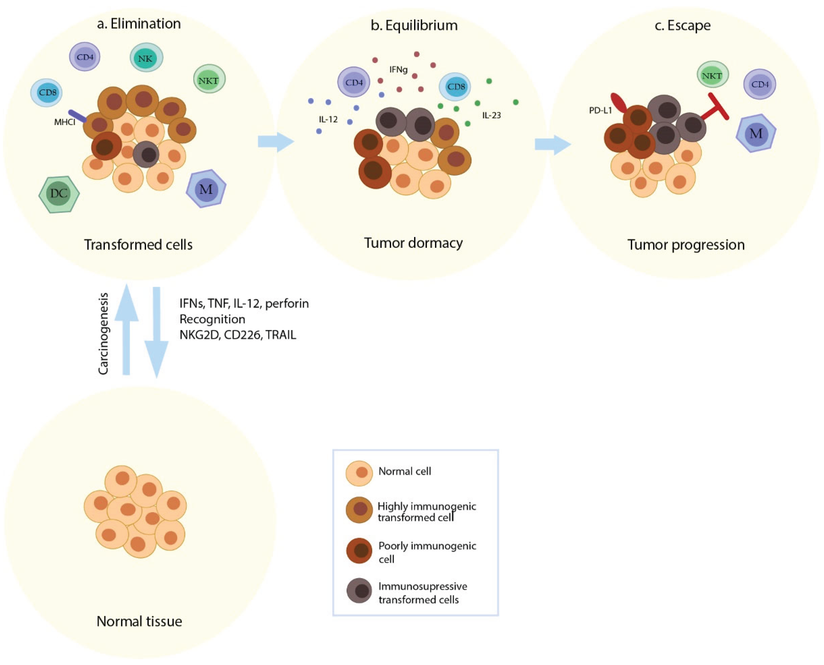 Preprints 190798 g001