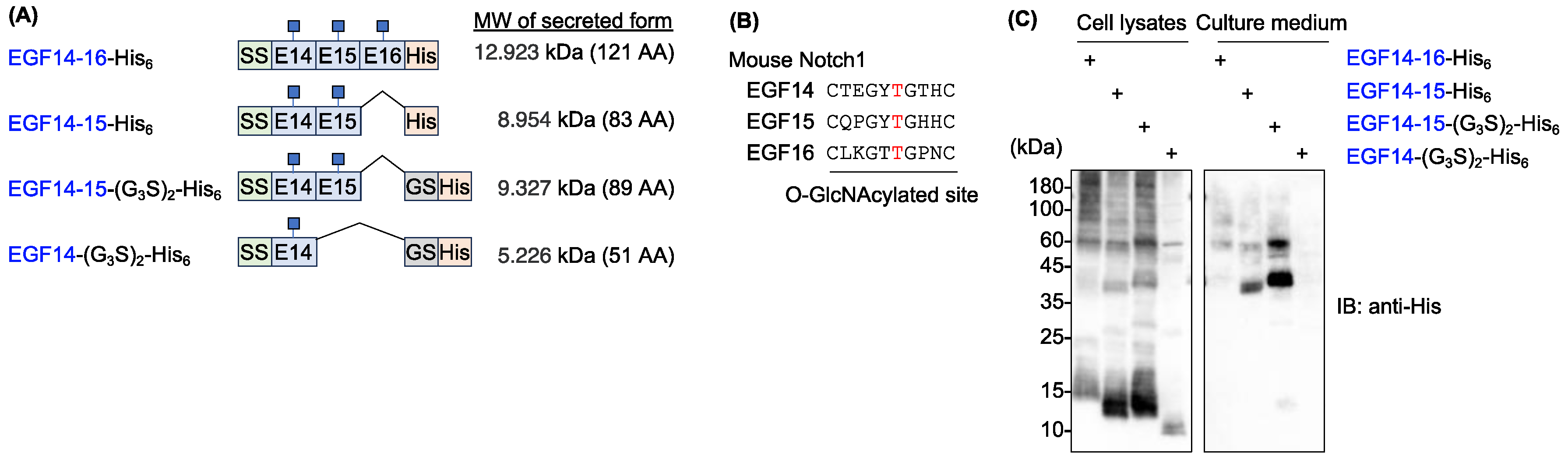 Preprints 97774 g001
