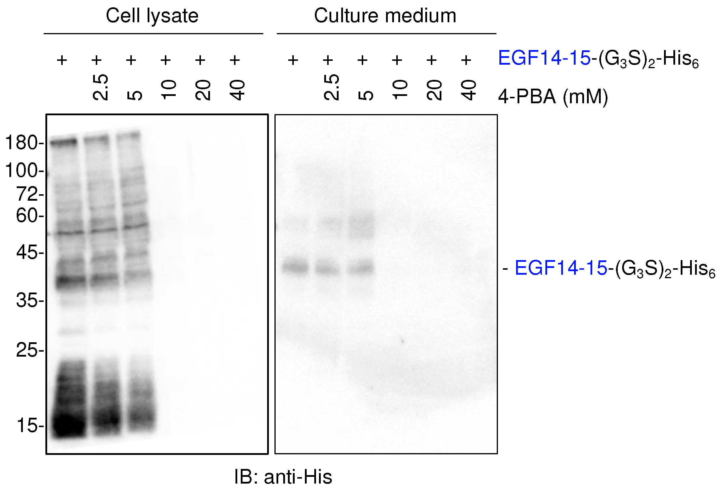 Preprints 97774 g002