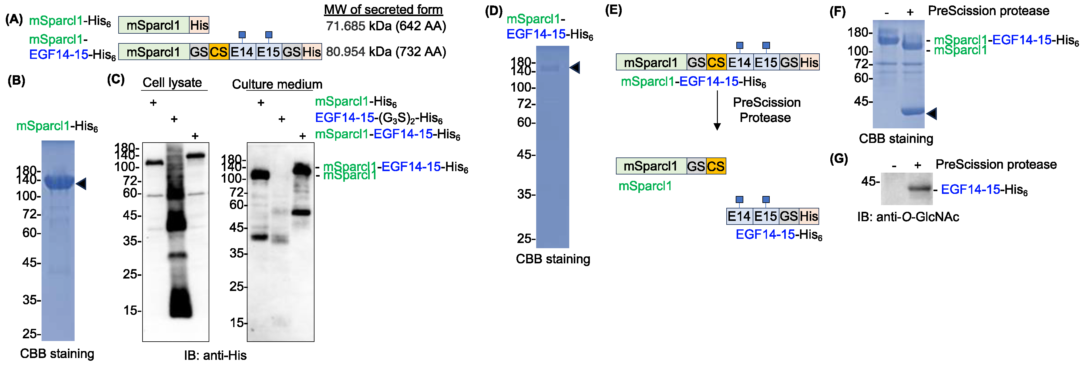 Preprints 97774 g003