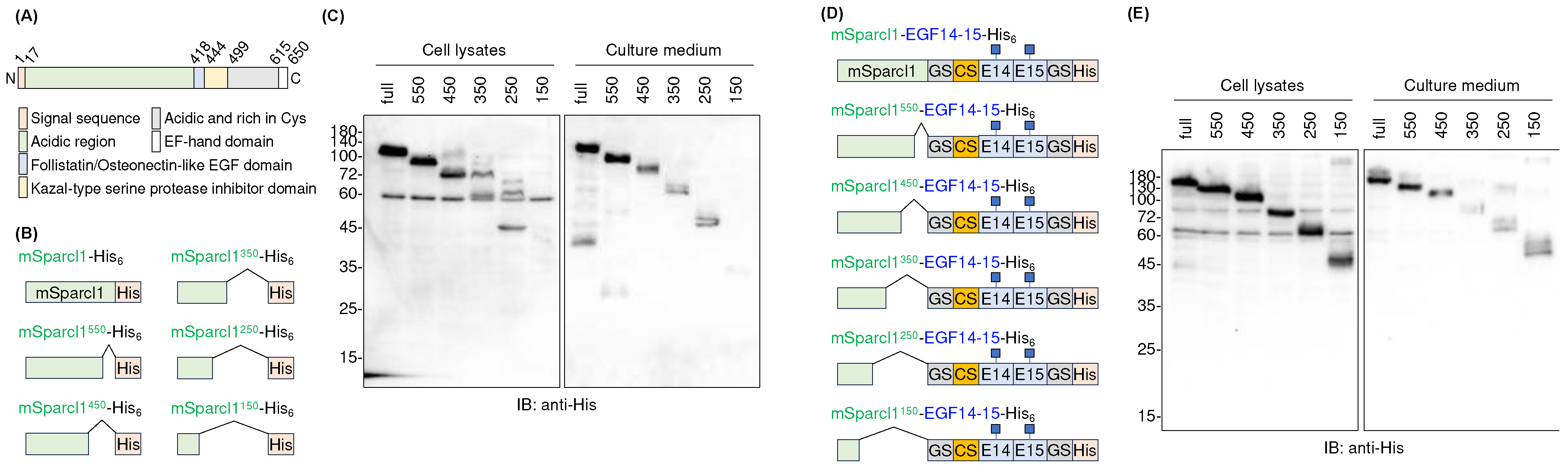 Preprints 97774 g004