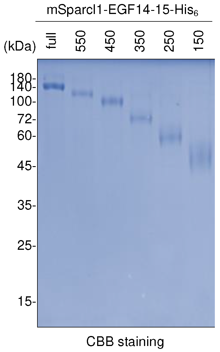 Preprints 97774 g005