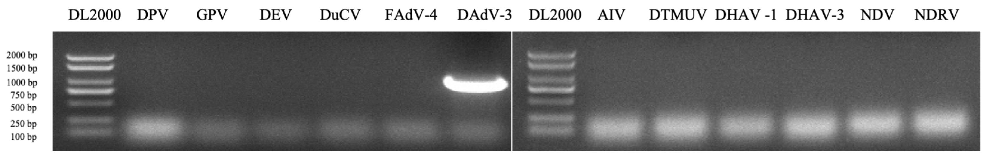 Preprints 159257 g001