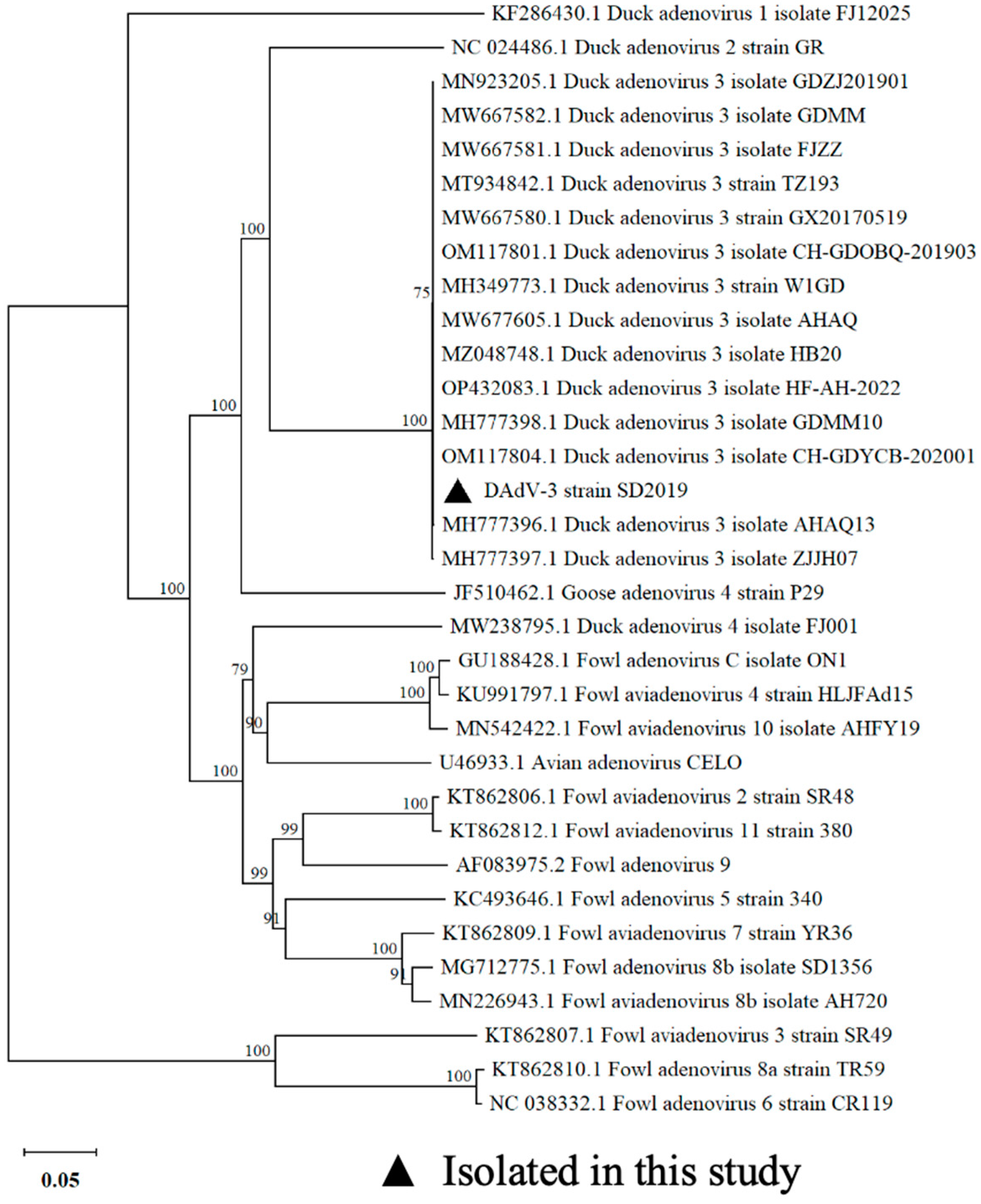 Preprints 159257 g002