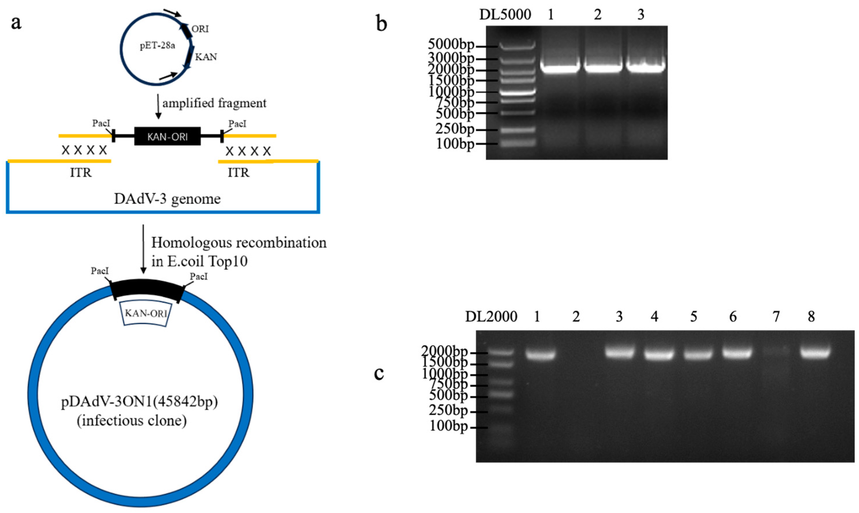 Preprints 159257 g003