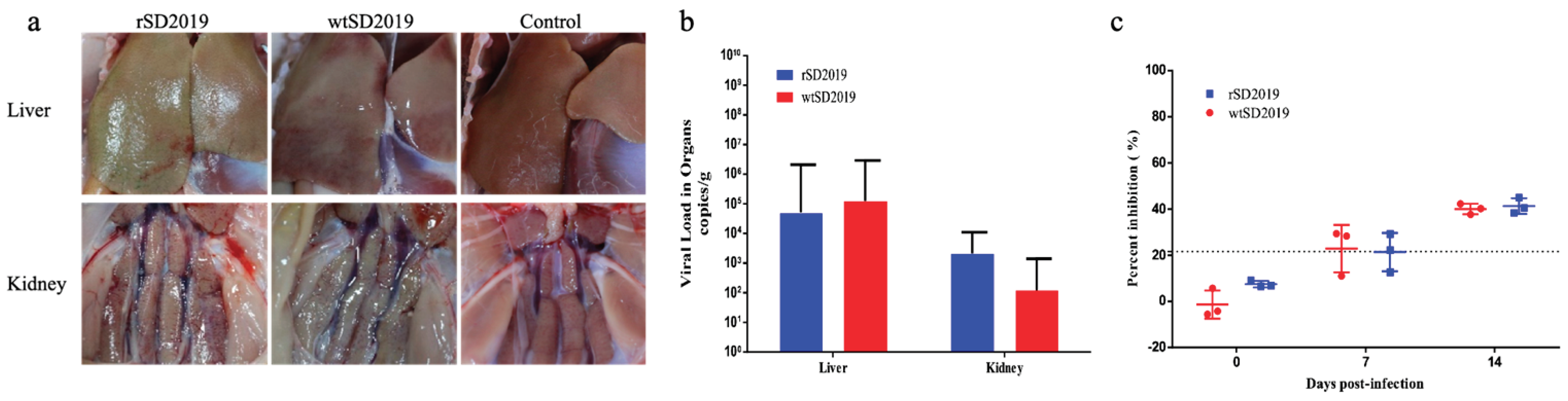 Preprints 159257 g005