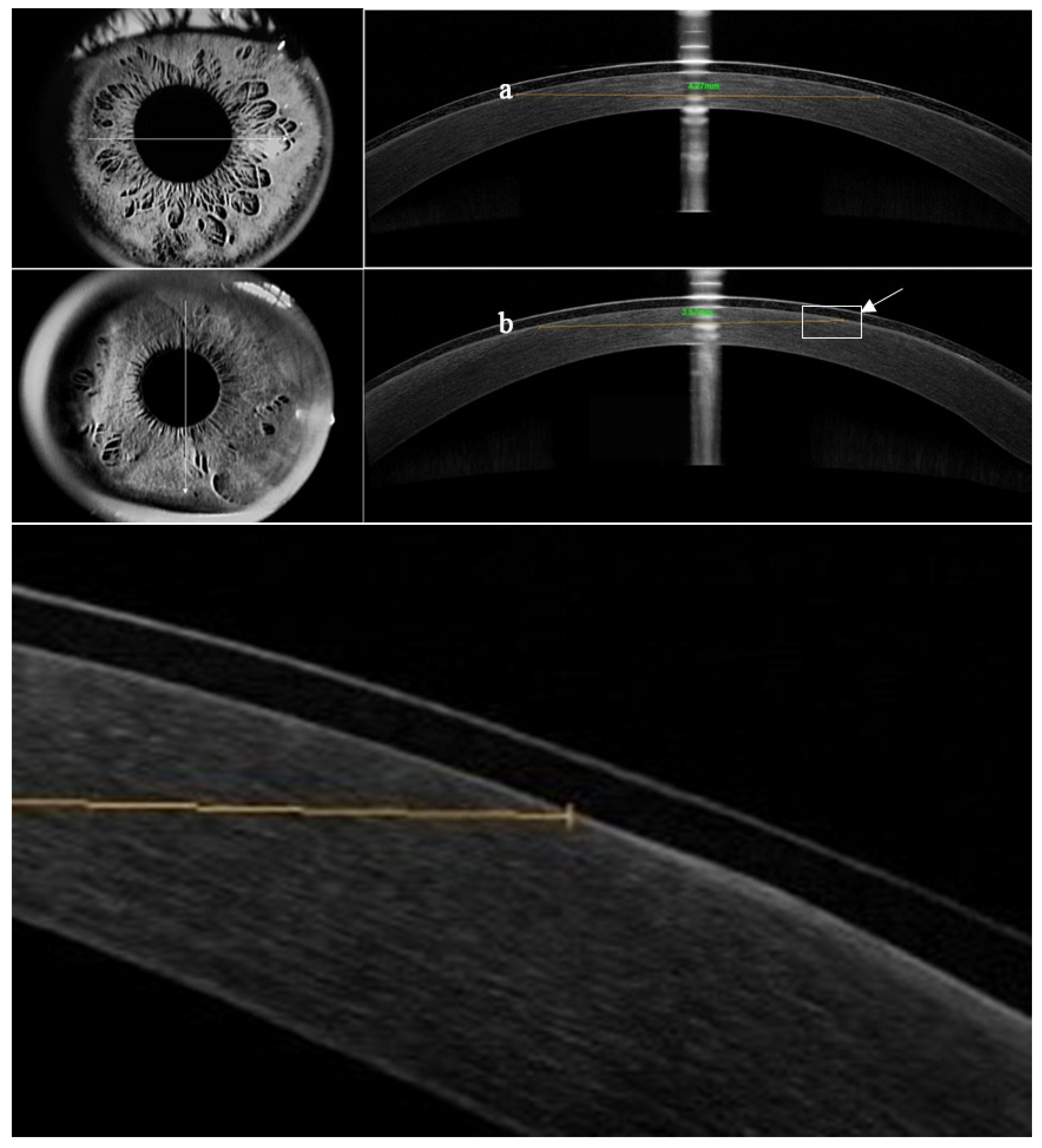 Preprints 155917 g001