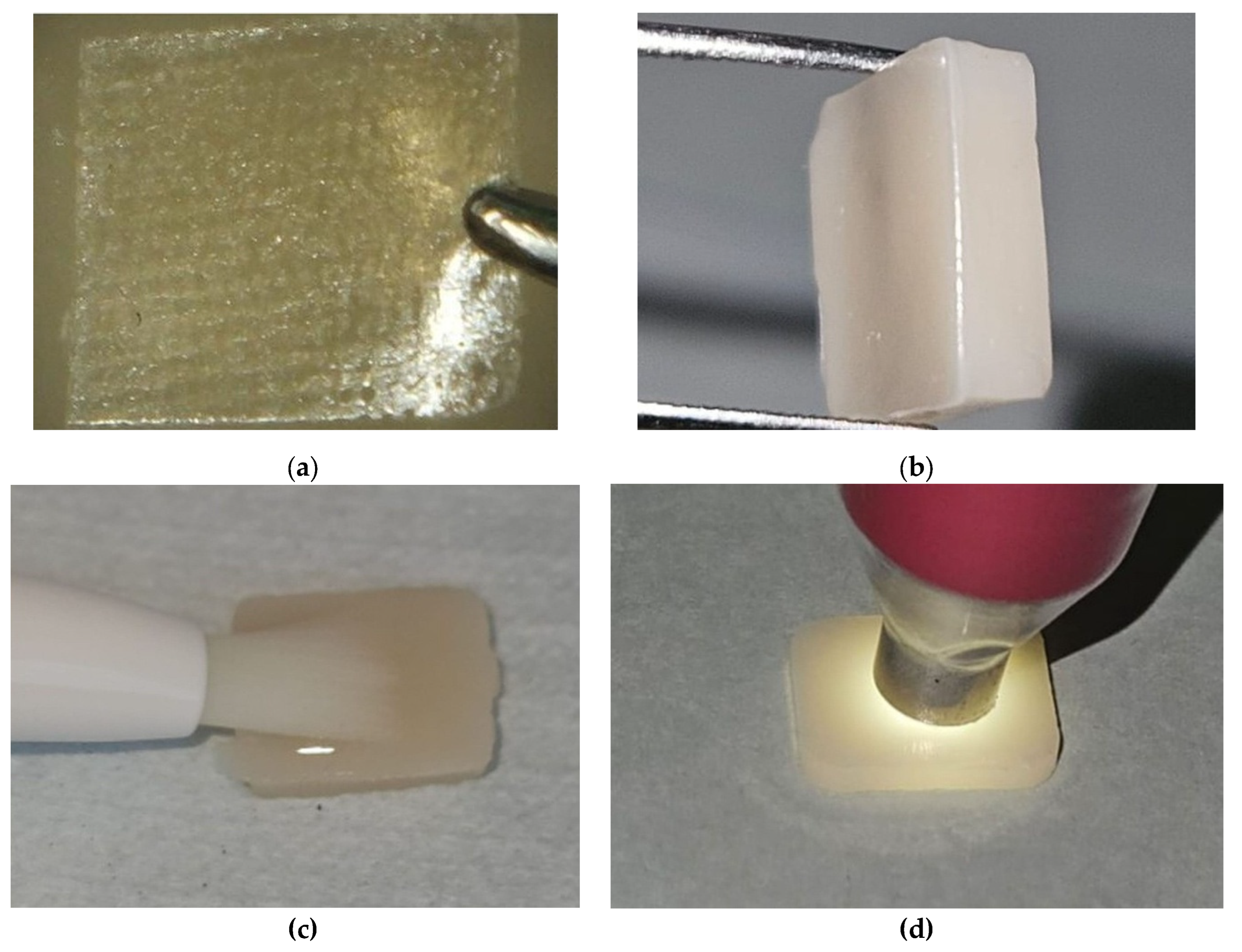 Preprints 174783 g003
