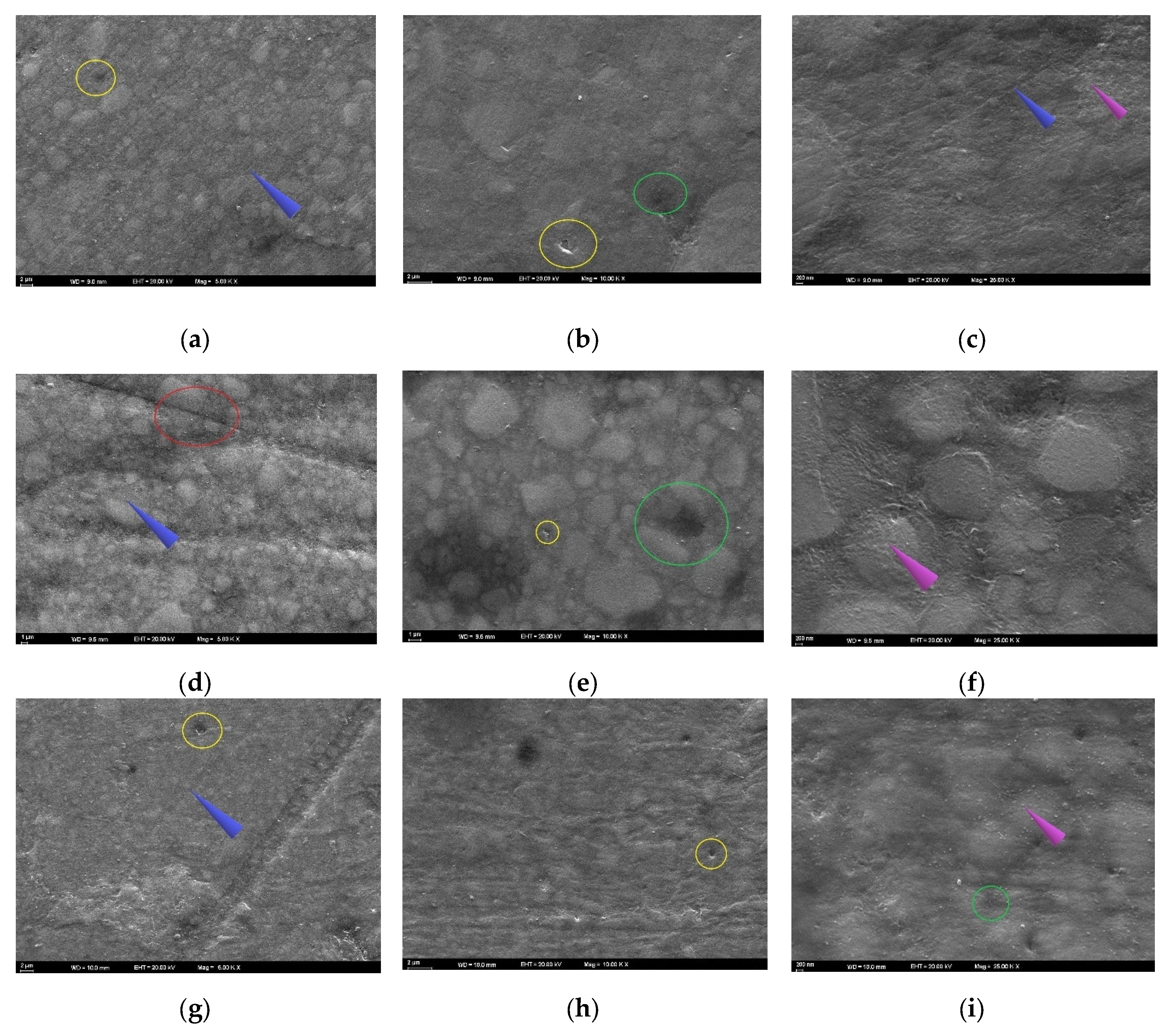 Preprints 174783 g005a