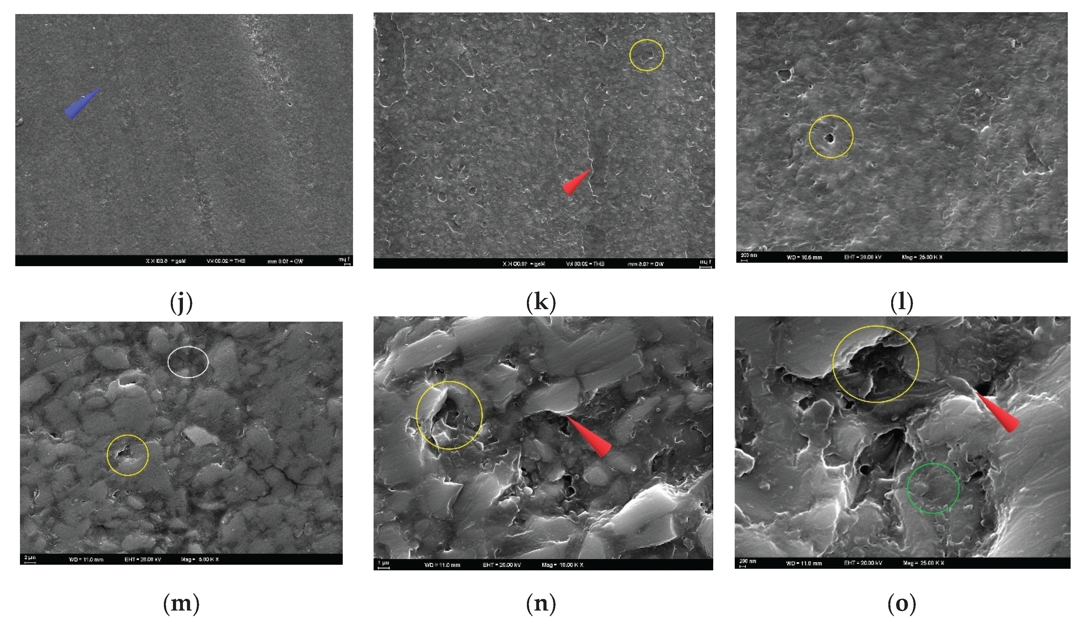 Preprints 174783 g005b