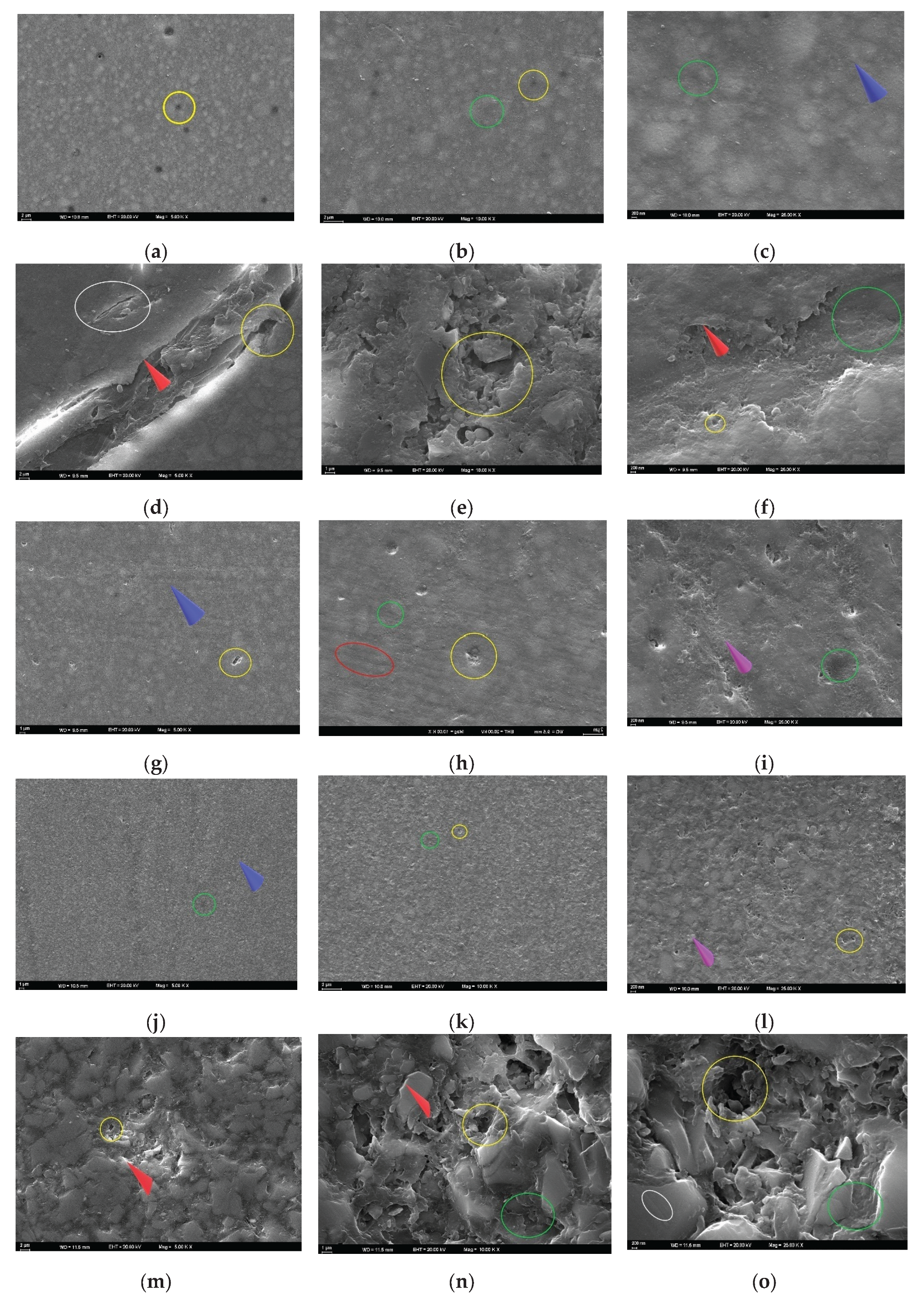 Preprints 174783 g006