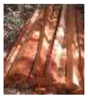 Preprints 148162 i001