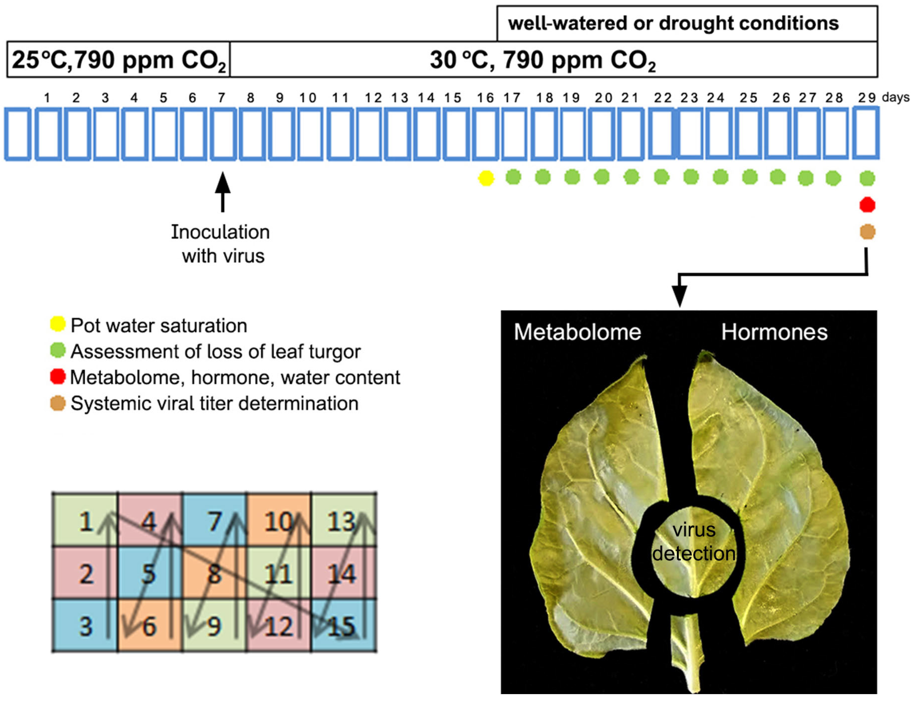 Preprints 112382 g001