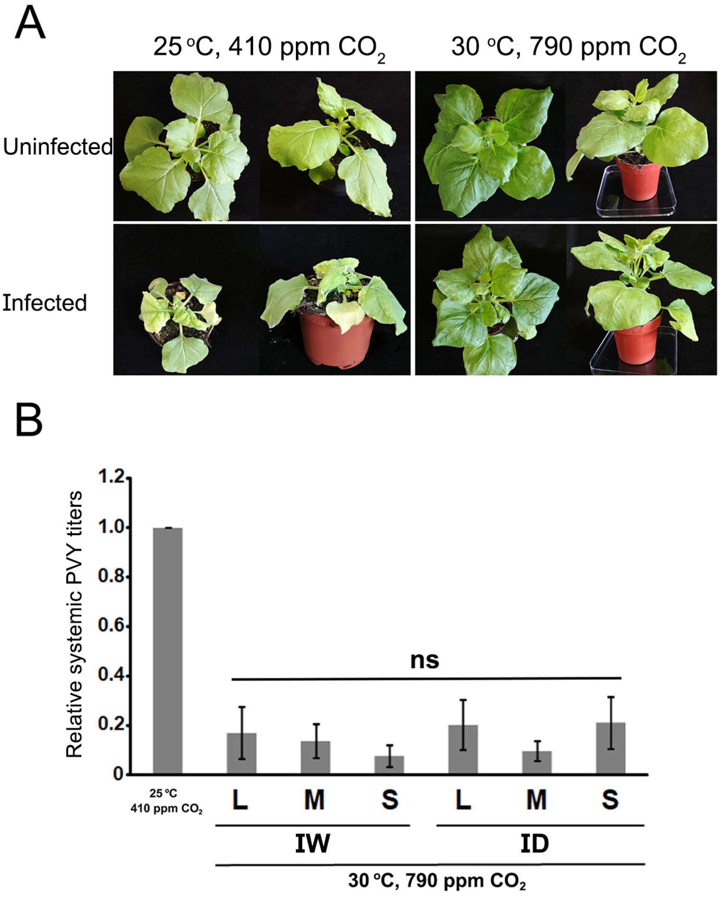 Preprints 112382 g002