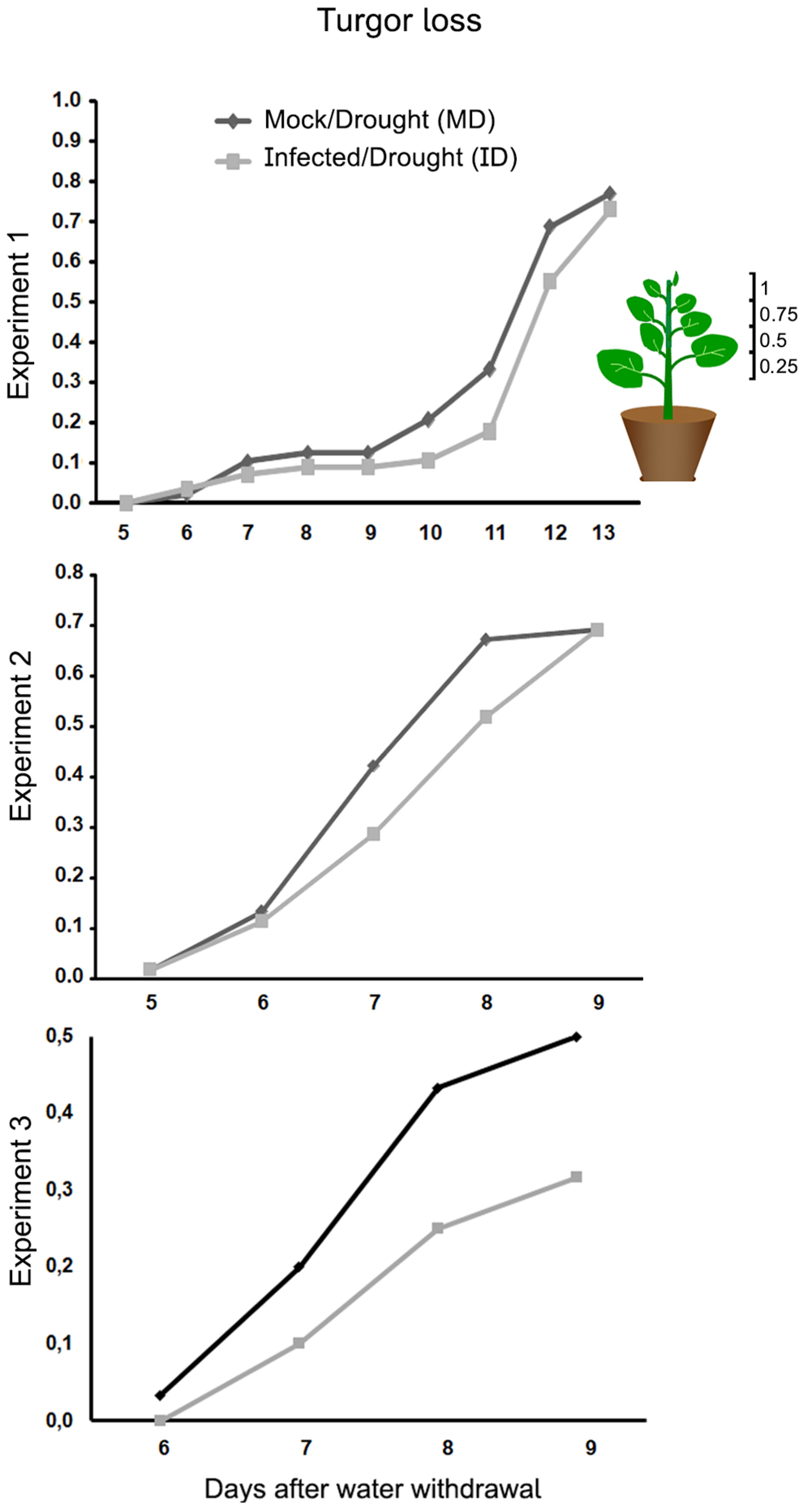 Preprints 112382 g003