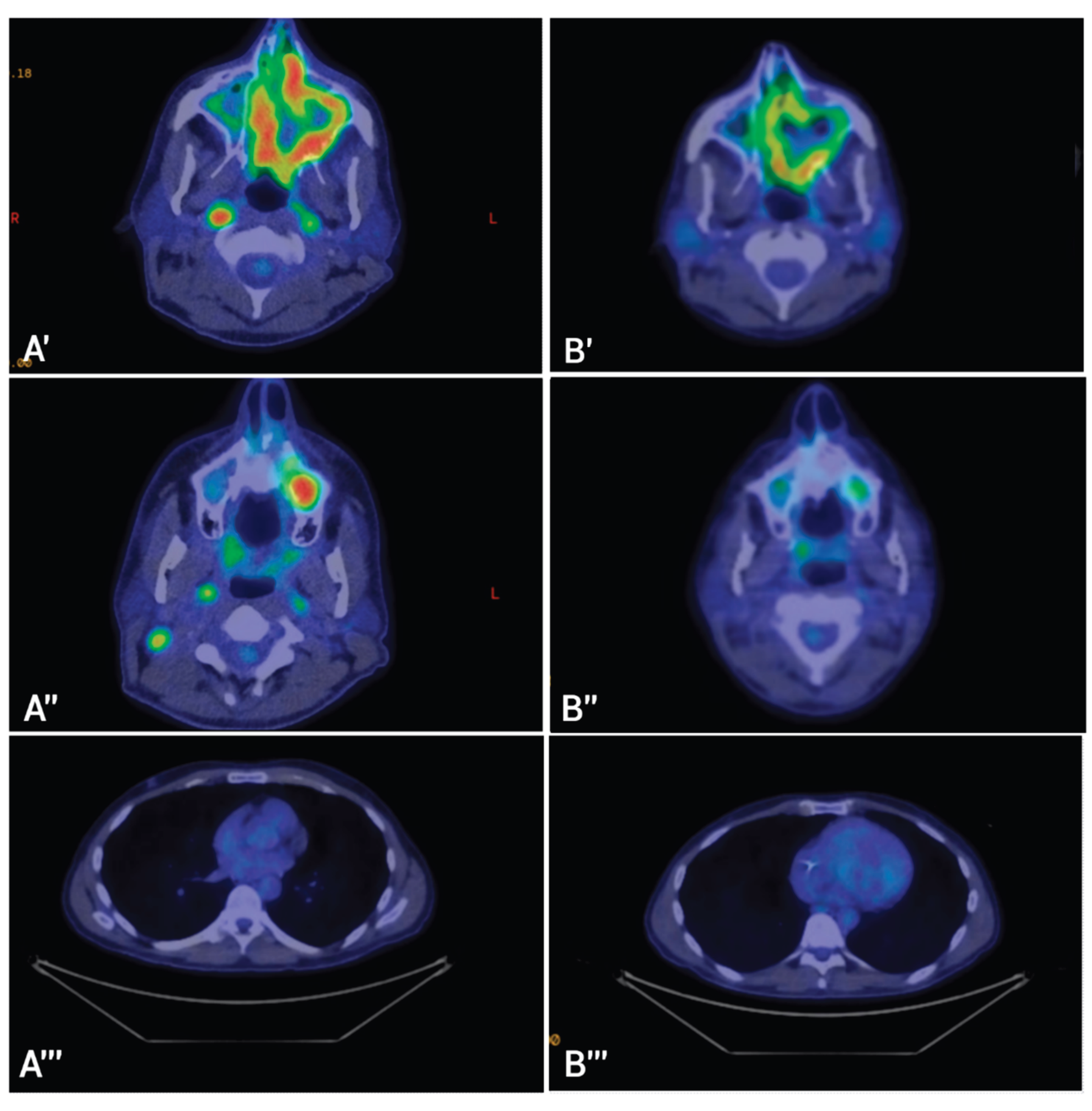 Preprints 195774 g003