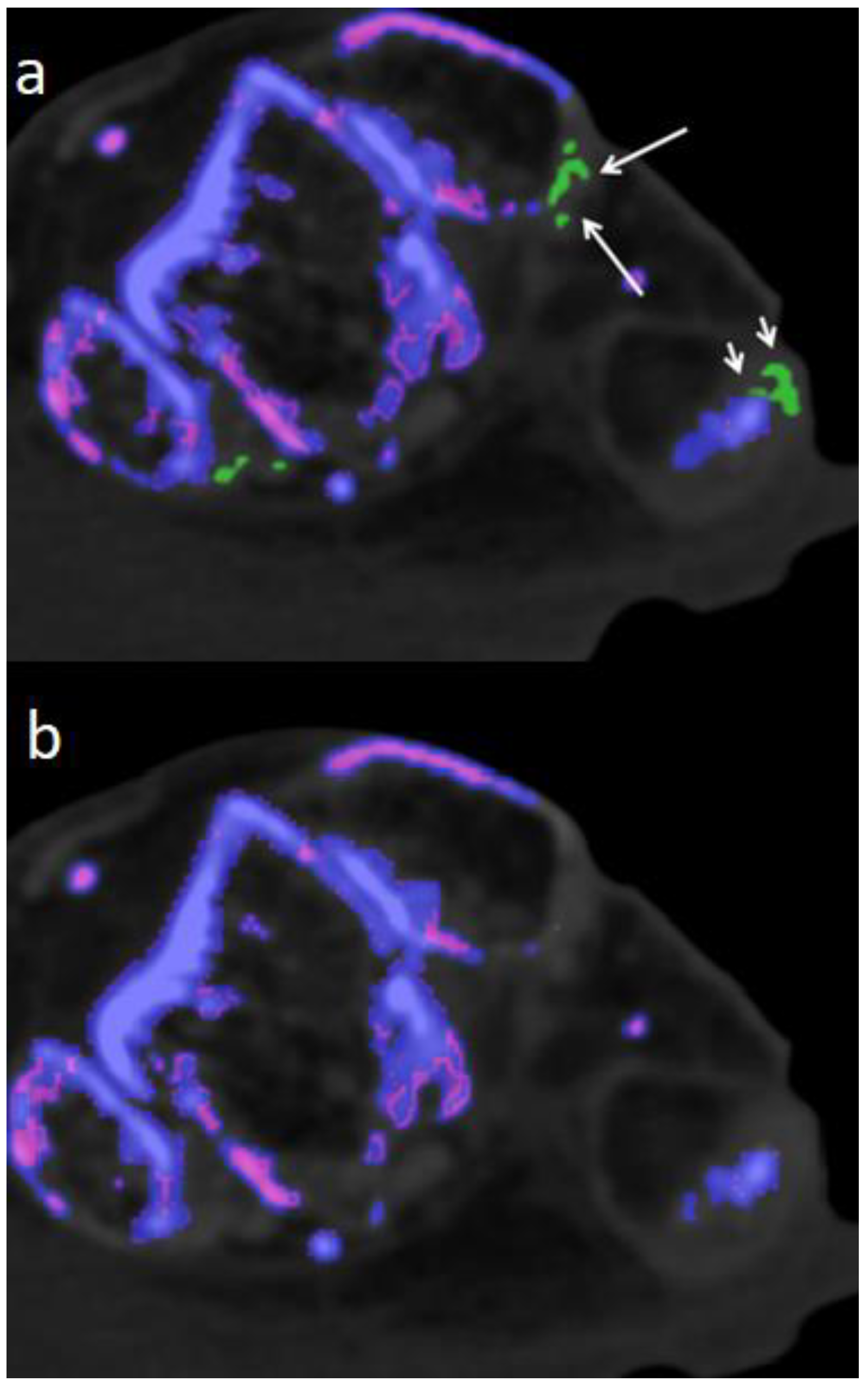 Preprints 75519 g005