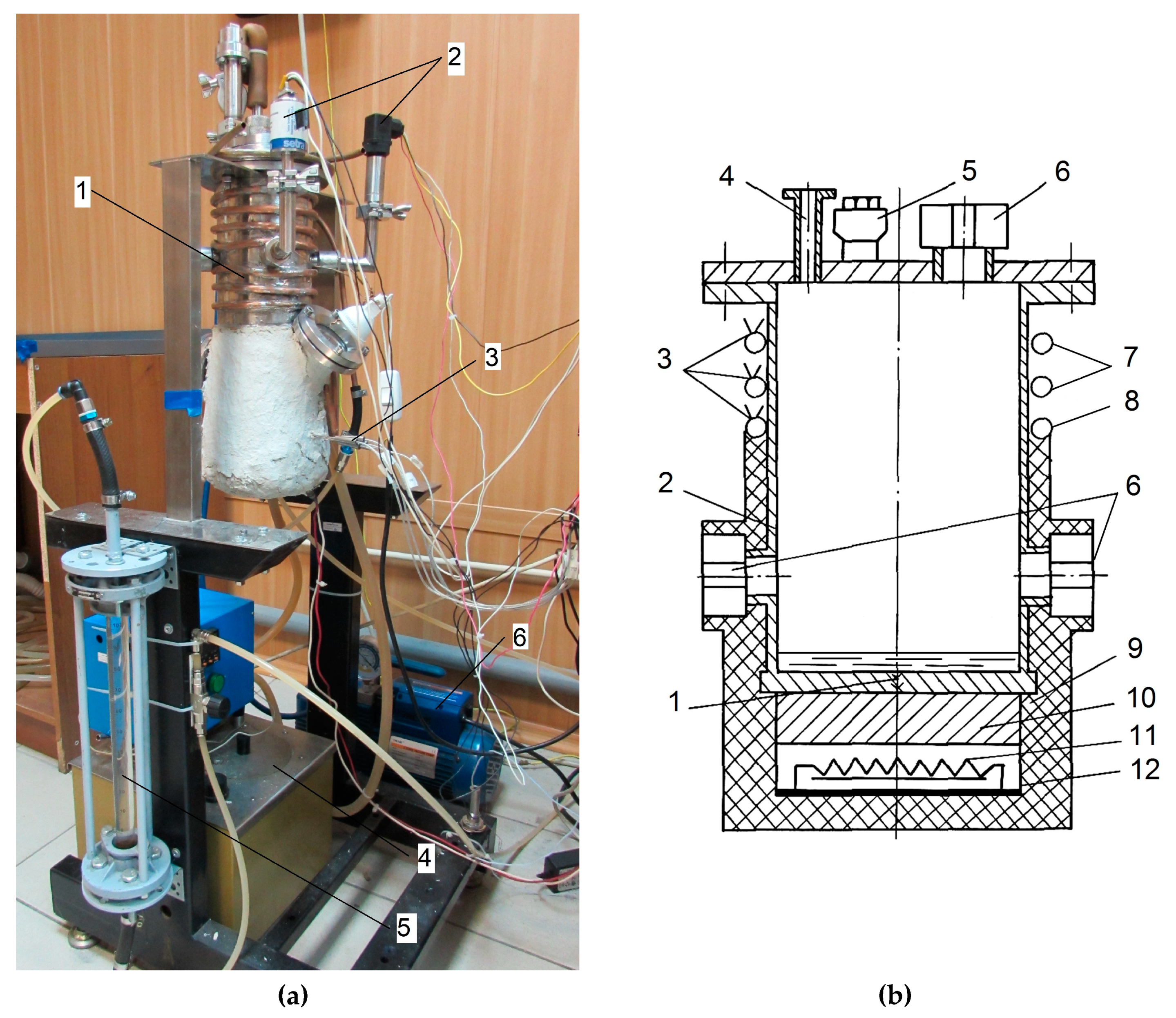 Preprints 81002 g003