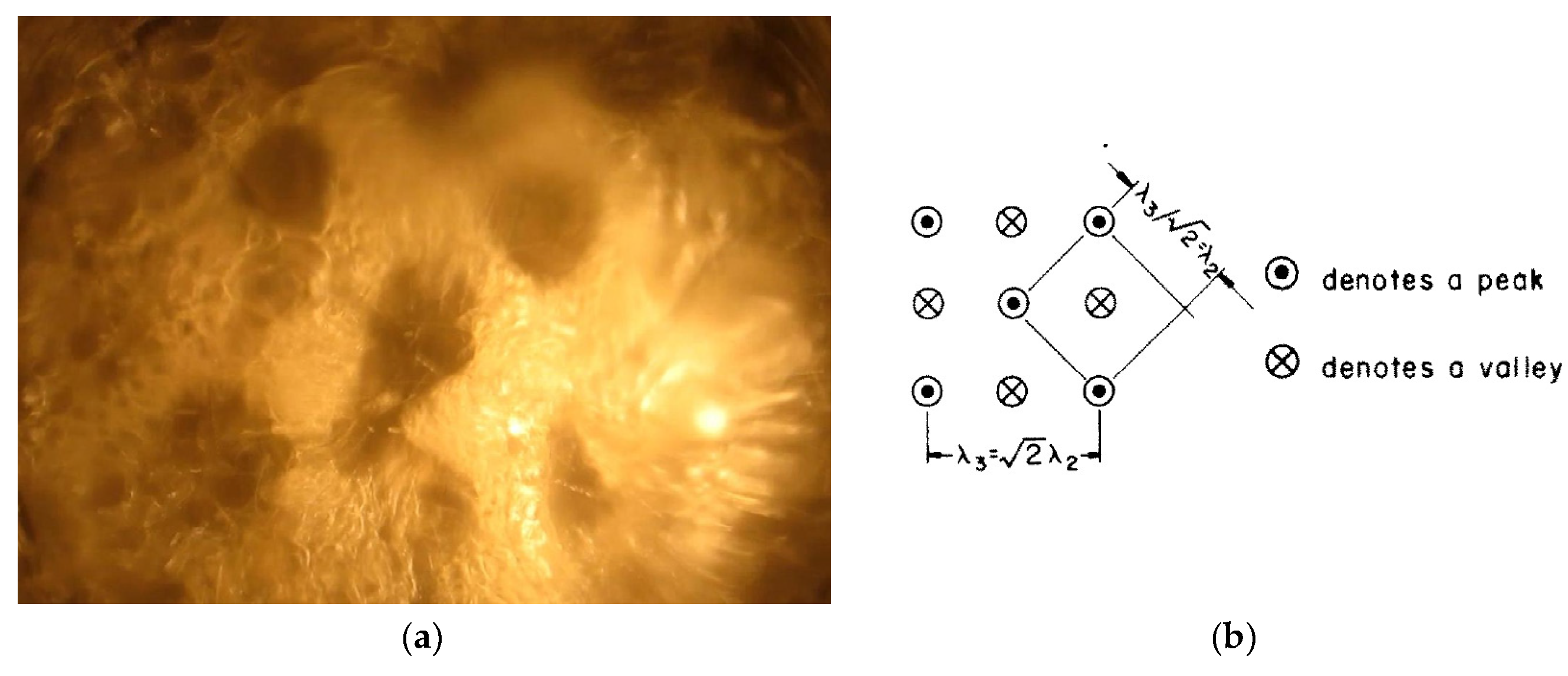 Preprints 81002 g005