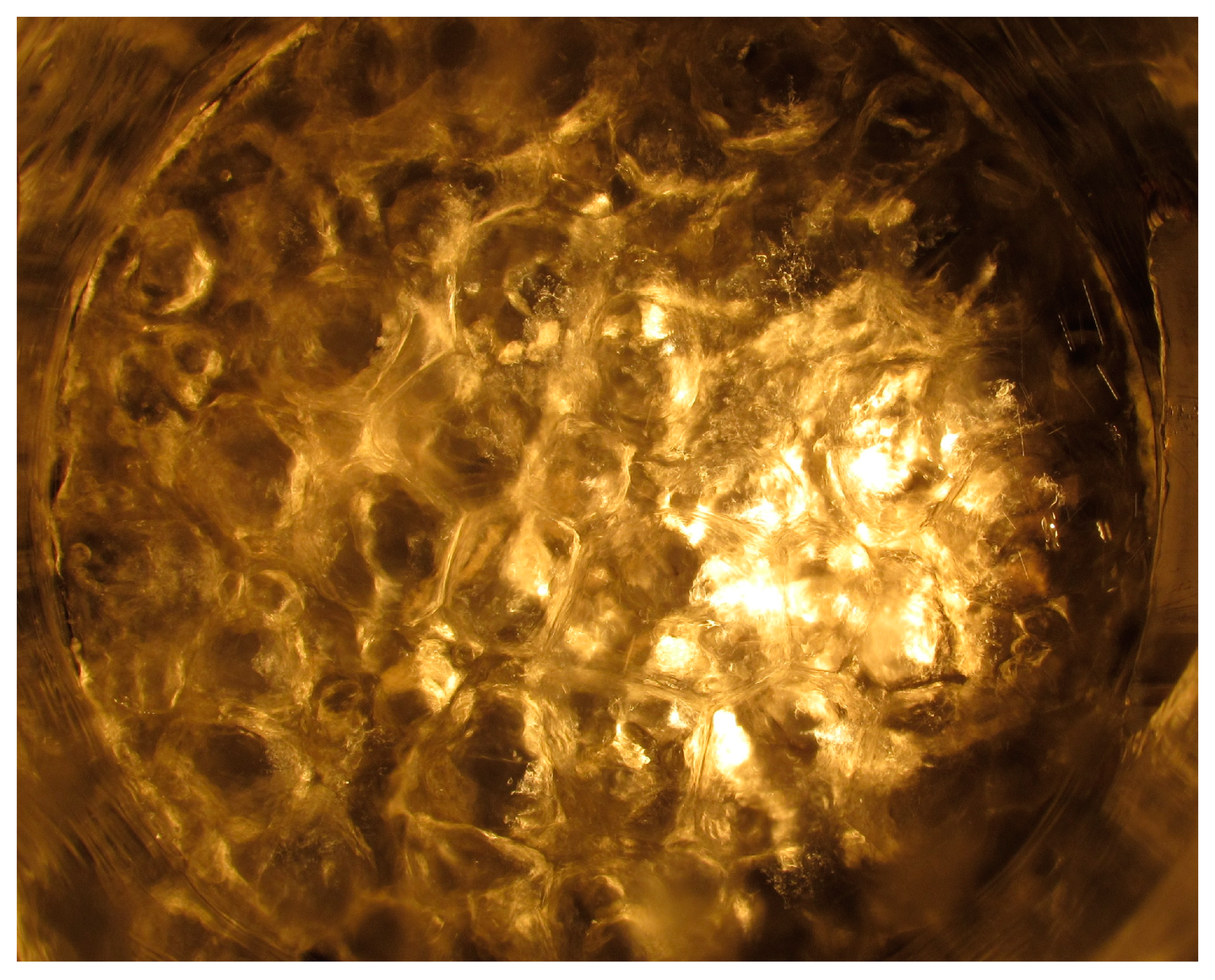 Preprints 81002 g007