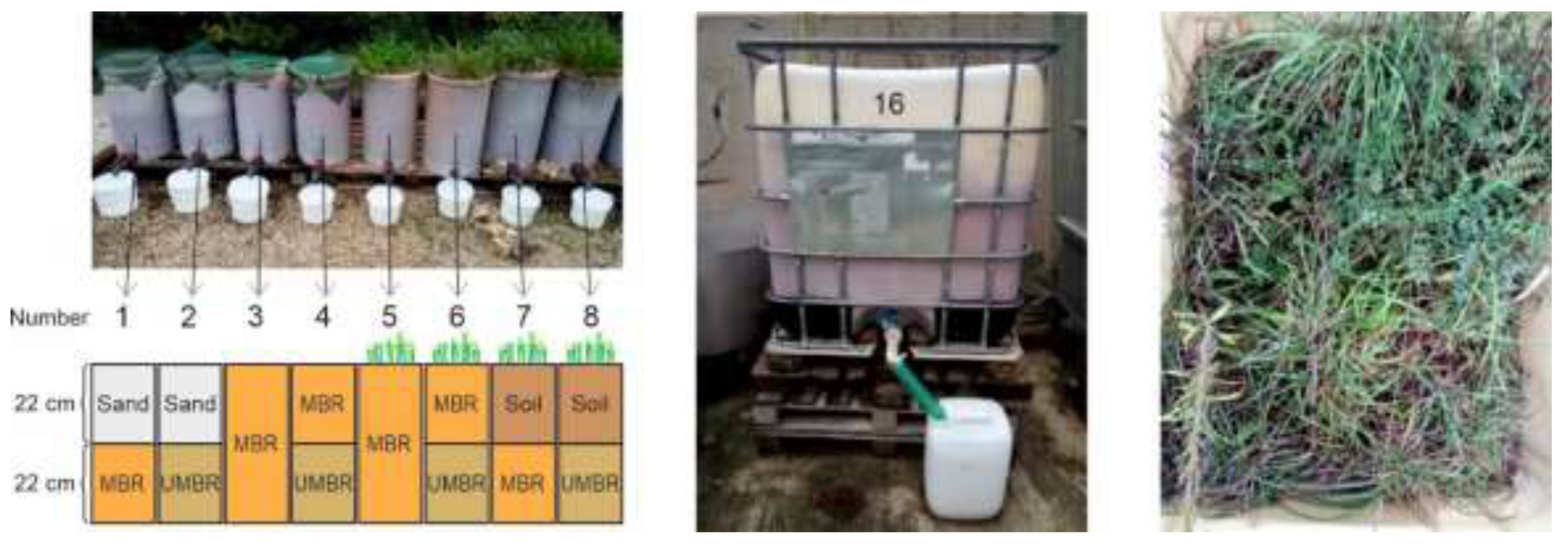 Preprints 137439 g001