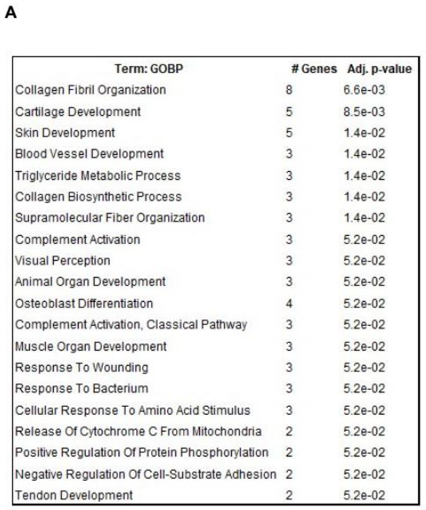 Preprints 205110 i001