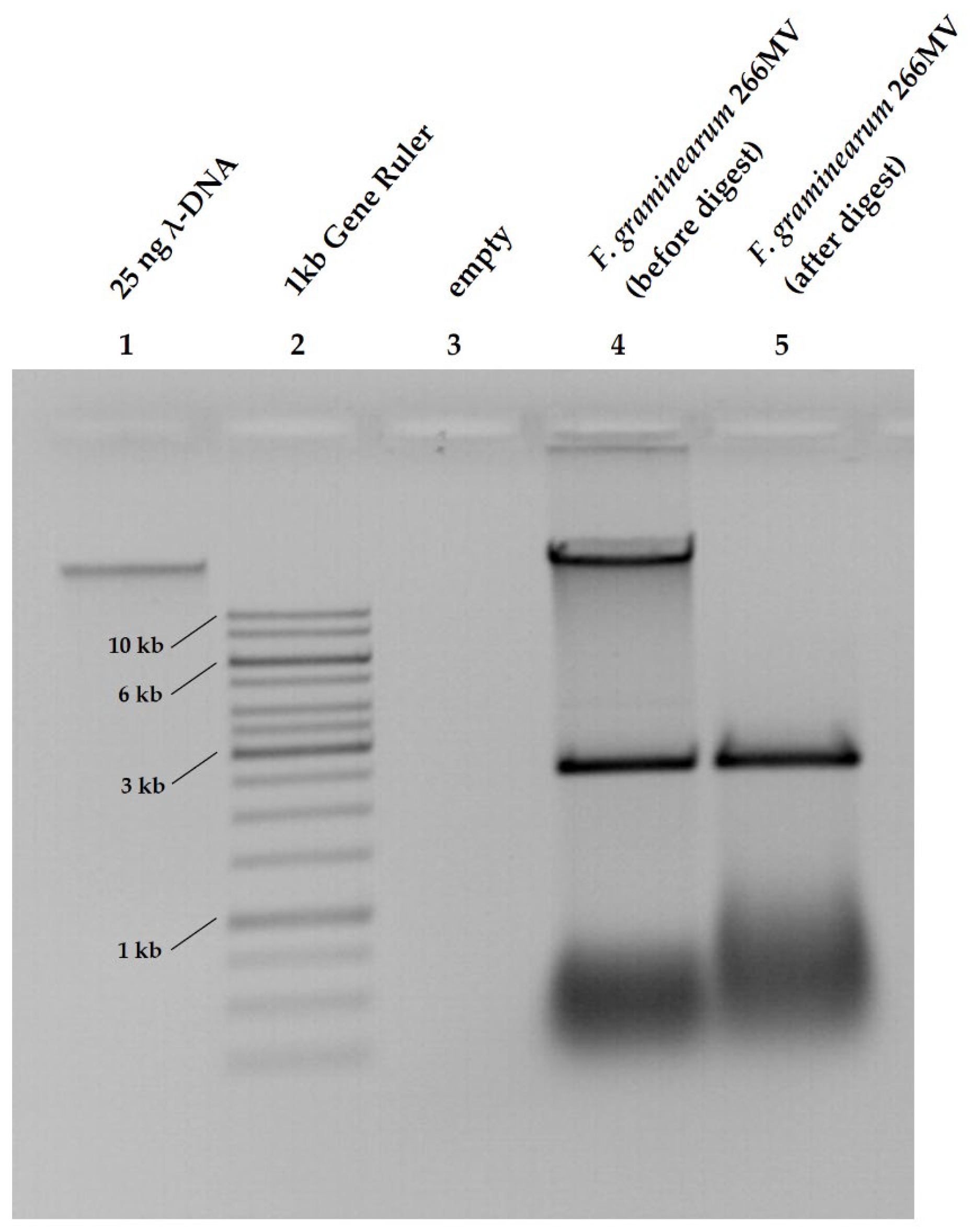 Preprints 96068 g001