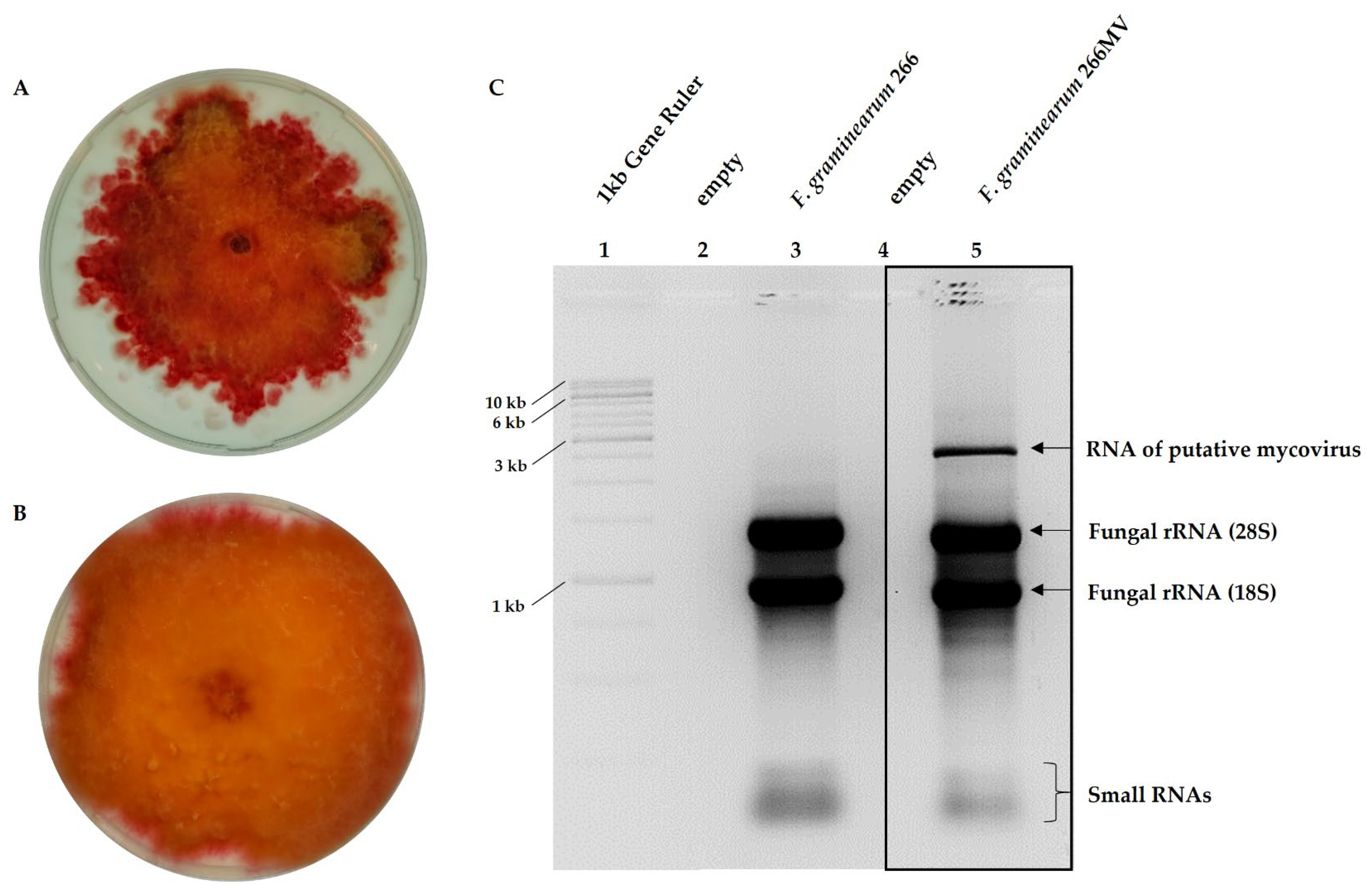 Preprints 96068 g002