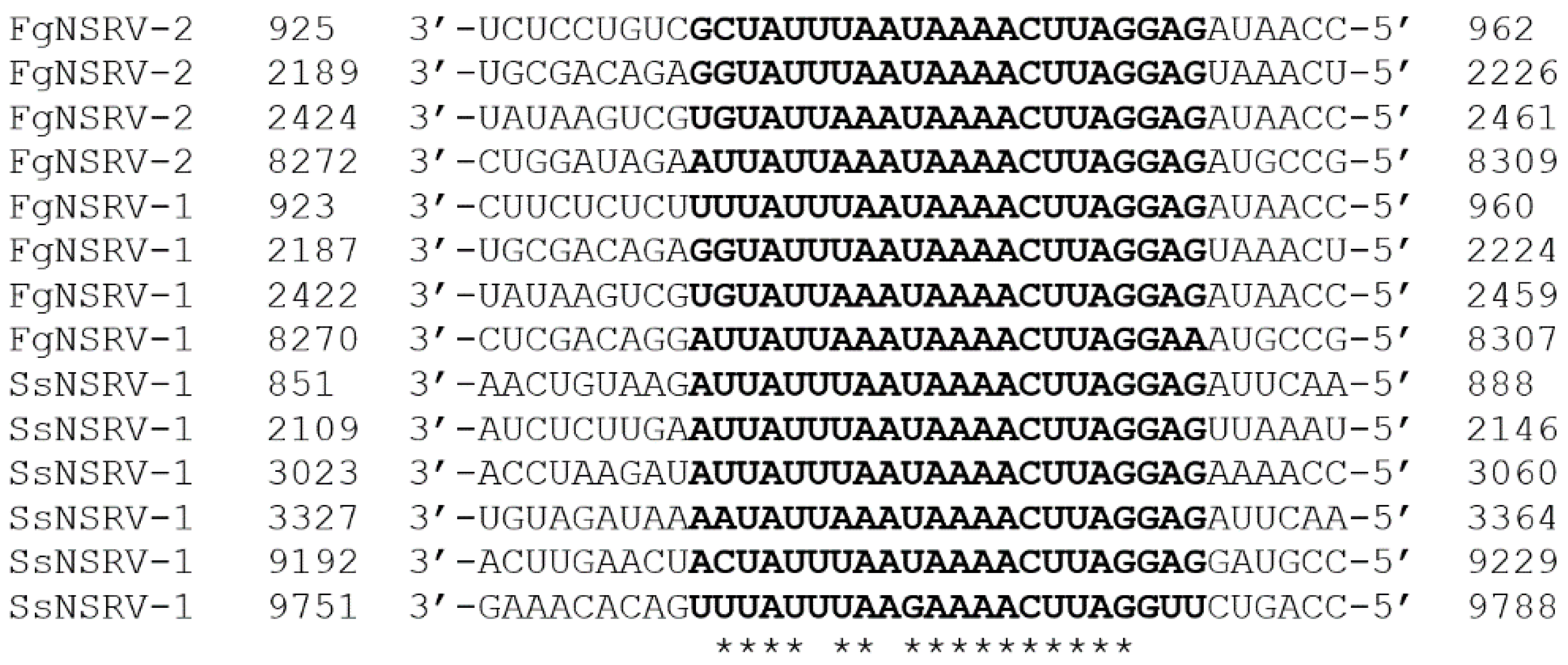 Preprints 96068 g006