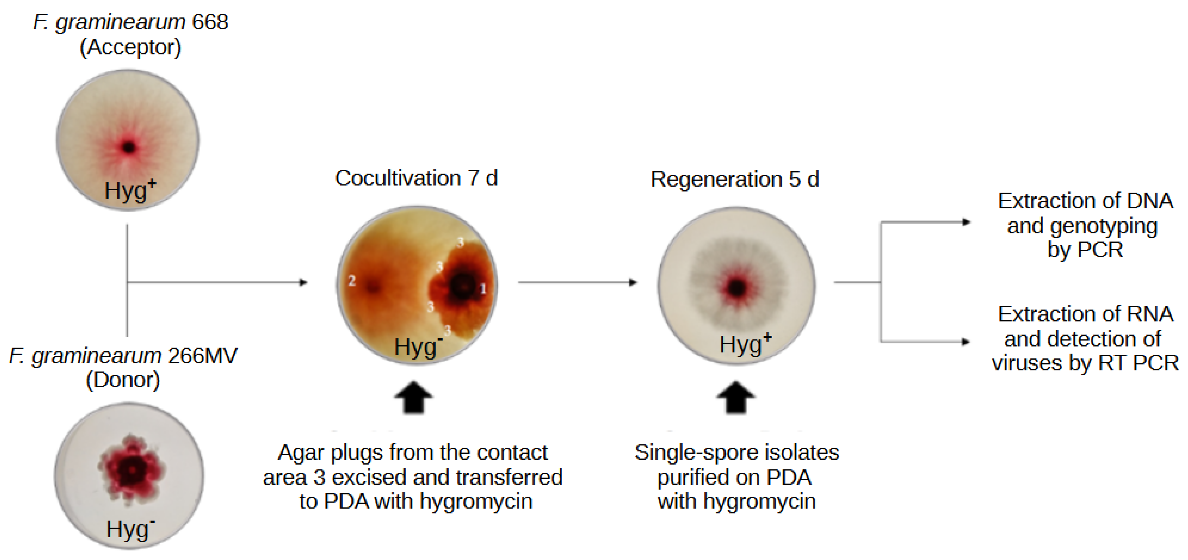 Preprints 96068 g0a1