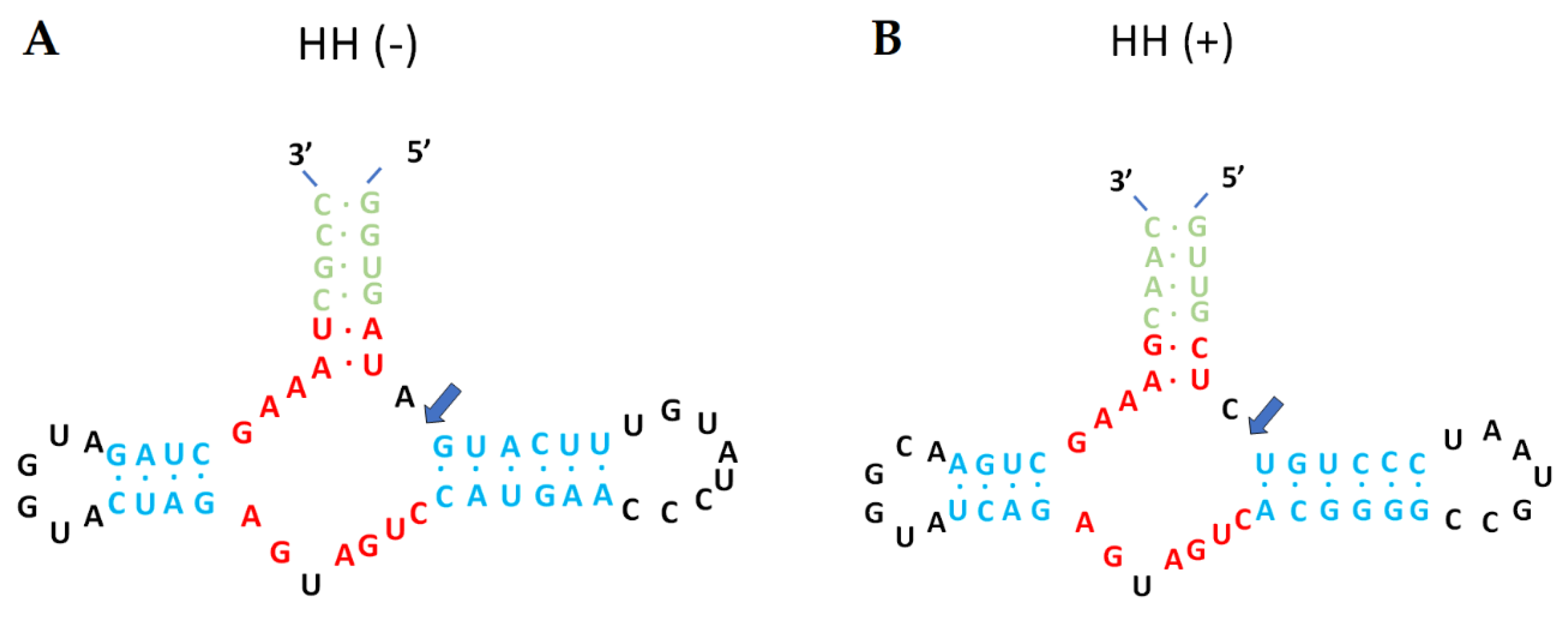 Preprints 96068 g0a2