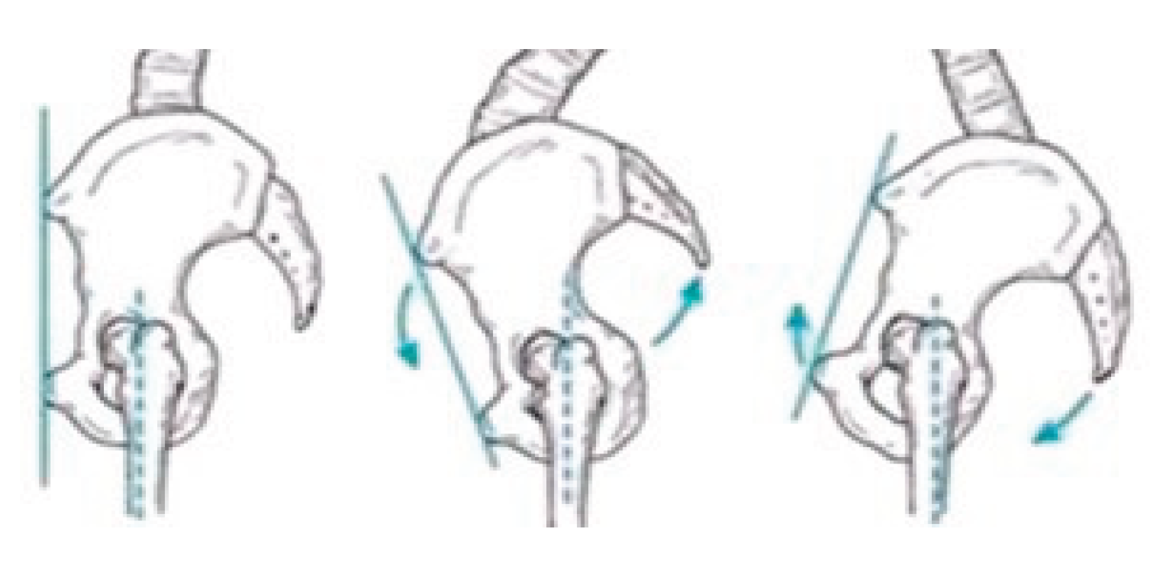 Preprints 164035 g003