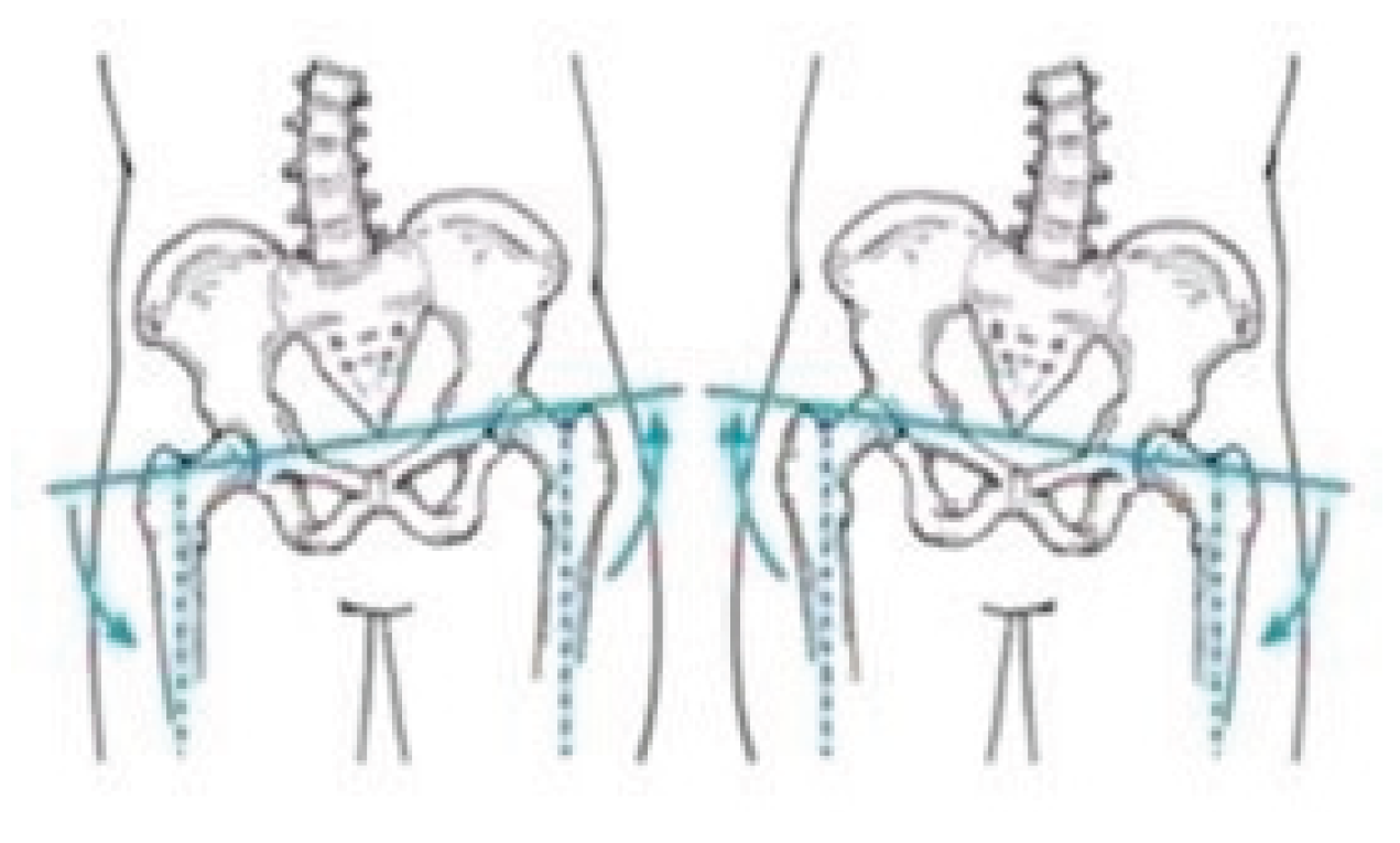 Preprints 164035 g004
