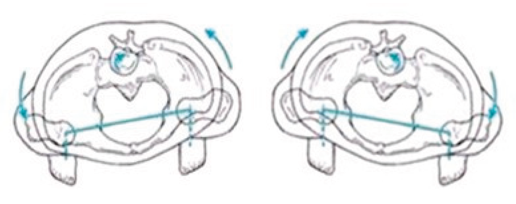 Preprints 164035 g005