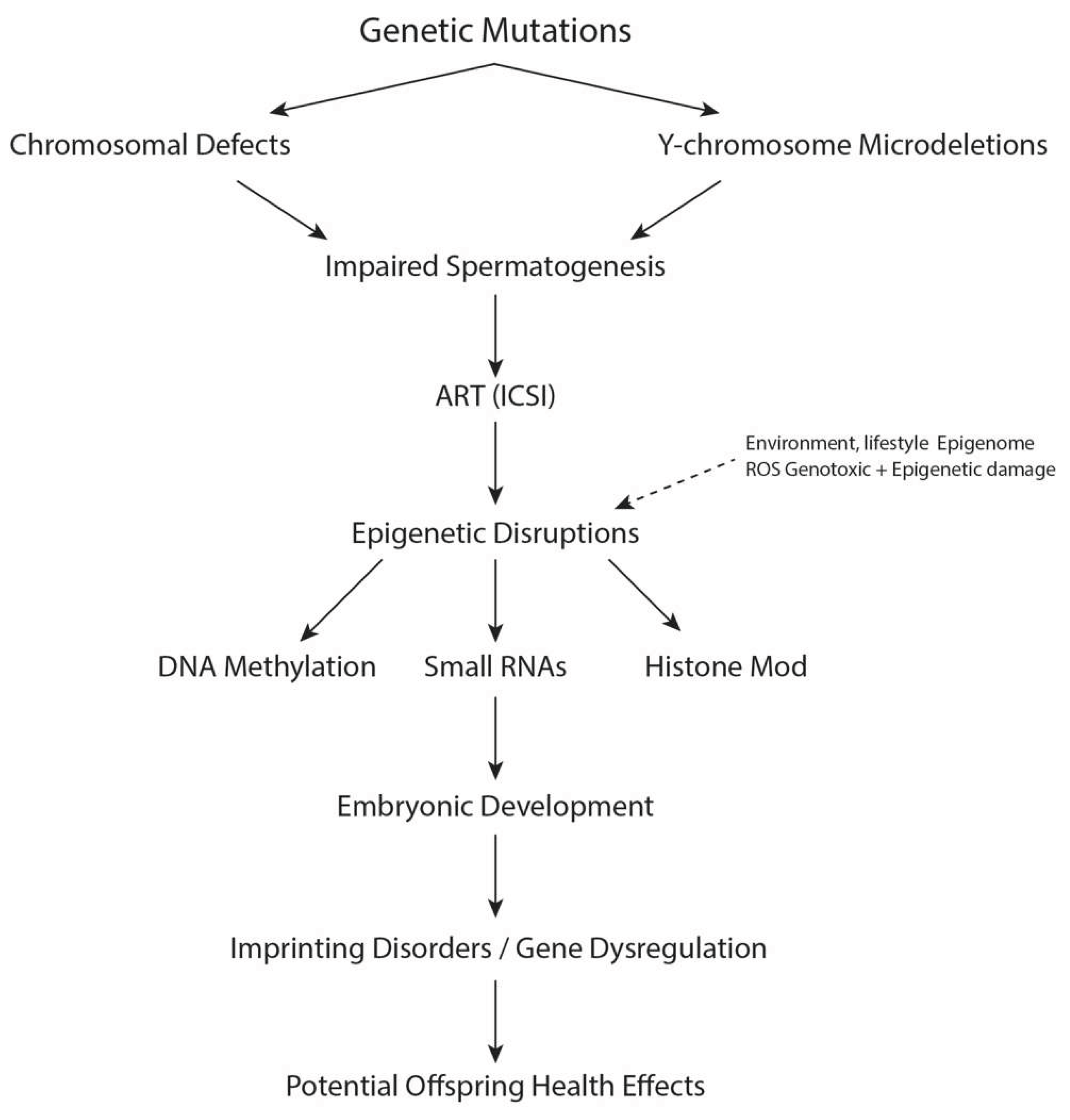 Preprints 185822 g001