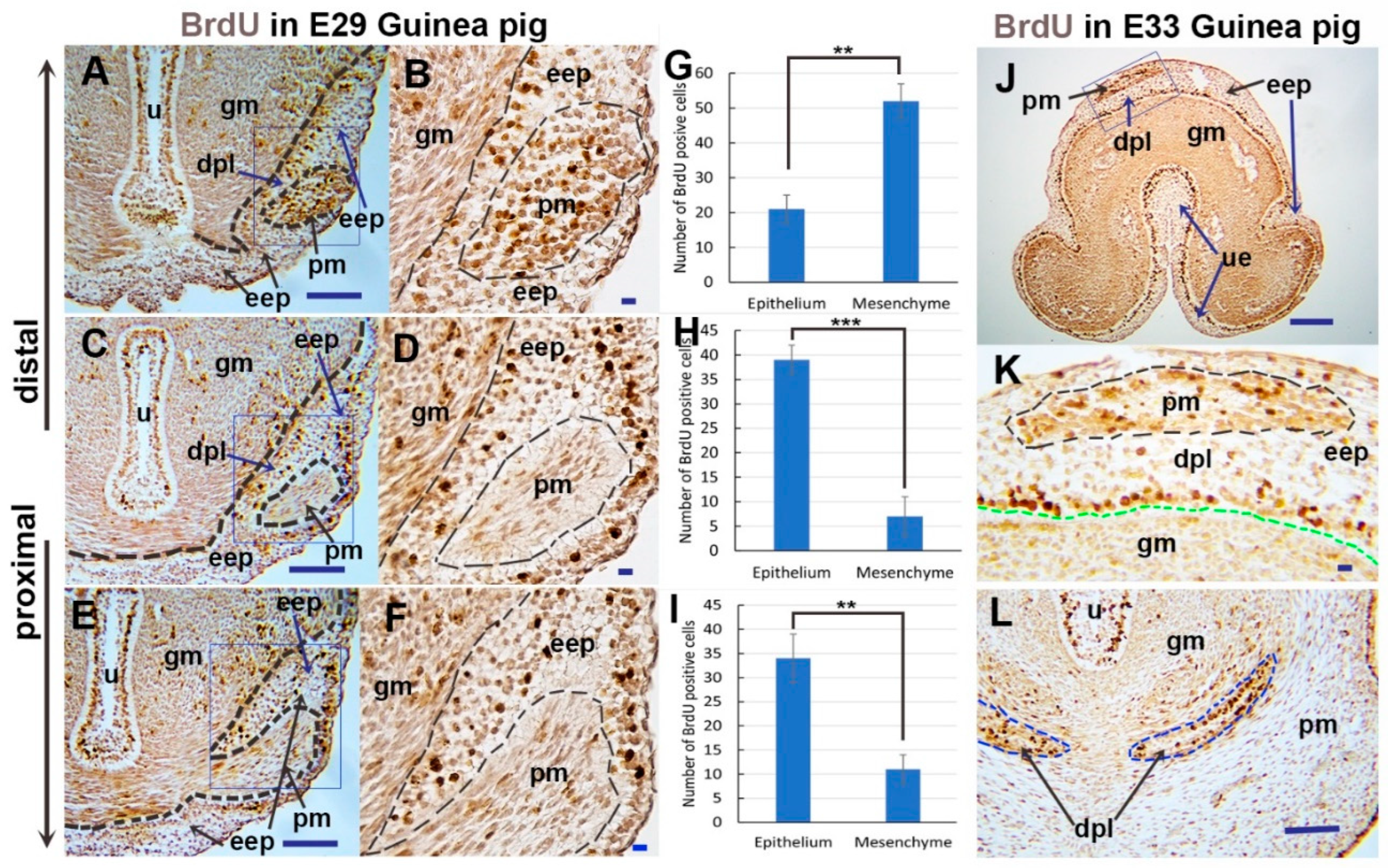 Preprints 145040 g004