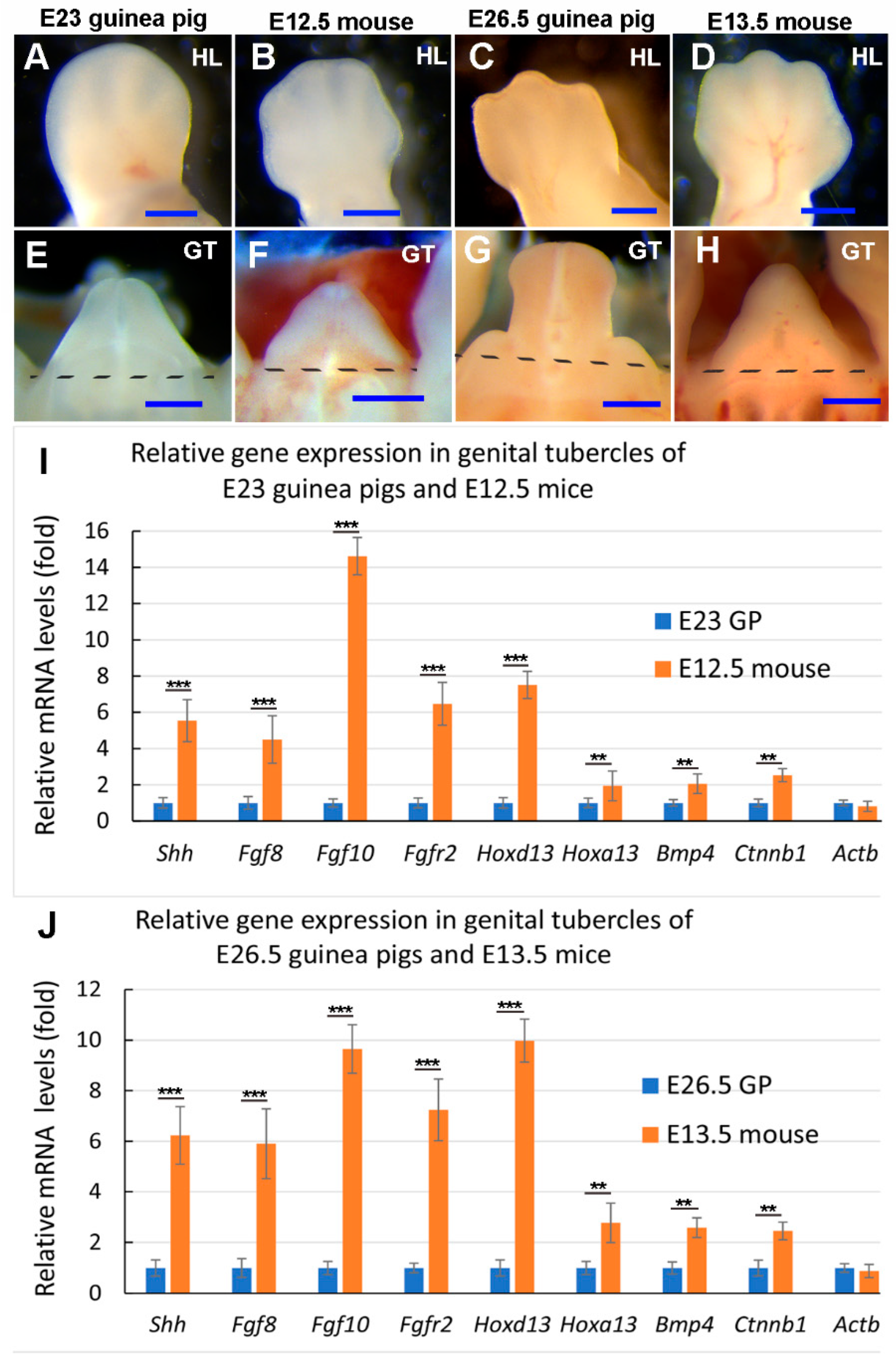 Preprints 145040 g007